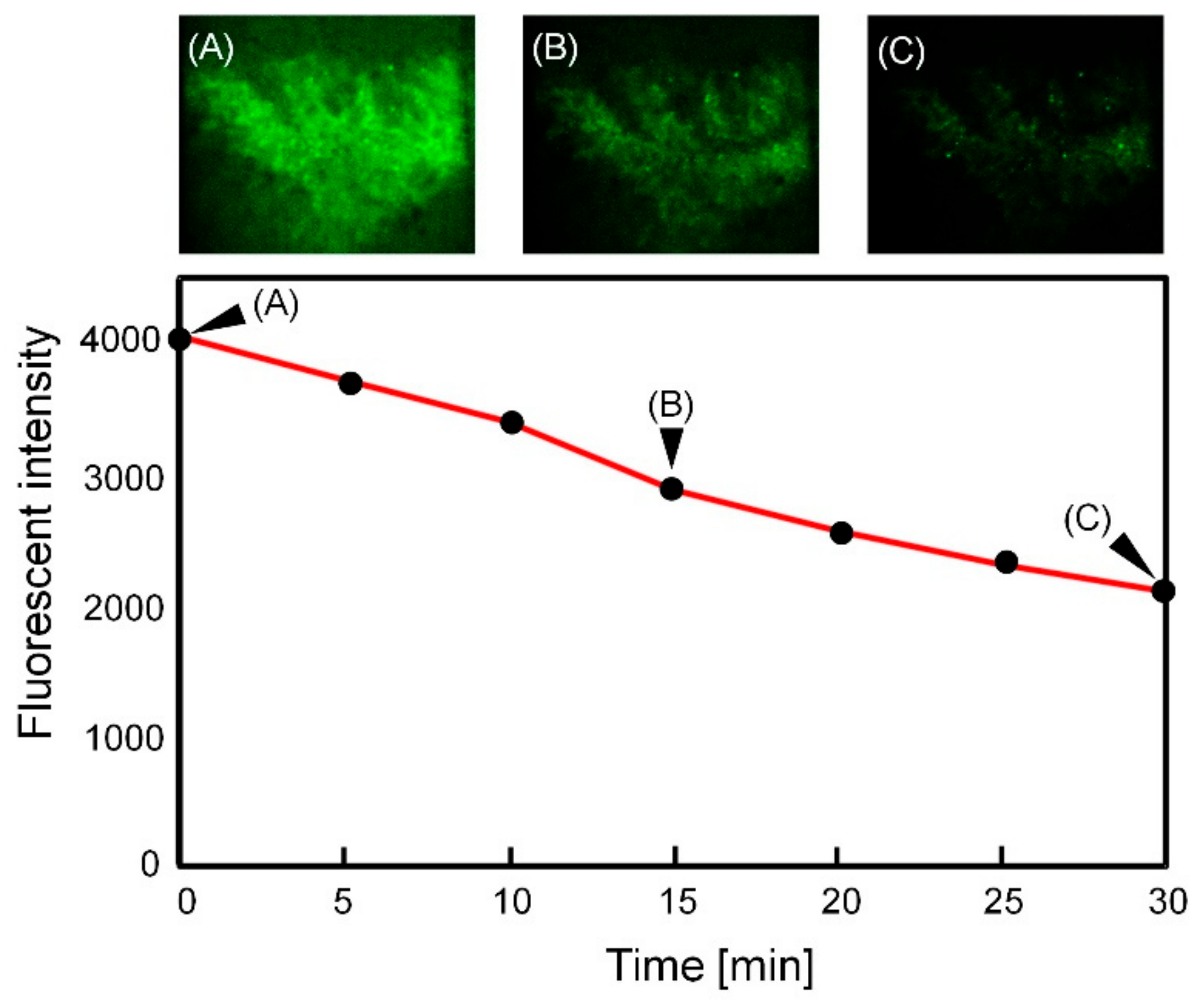 Micromachines 12 00692 g009