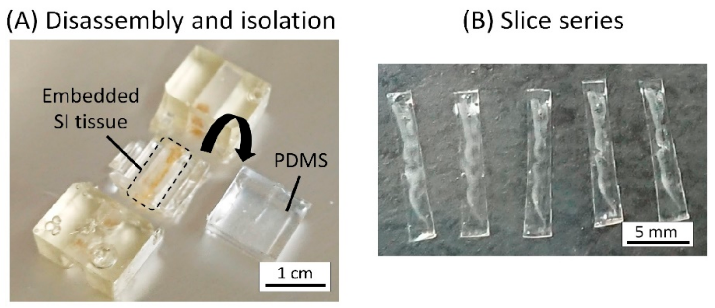 Micromachines 12 00692 g010