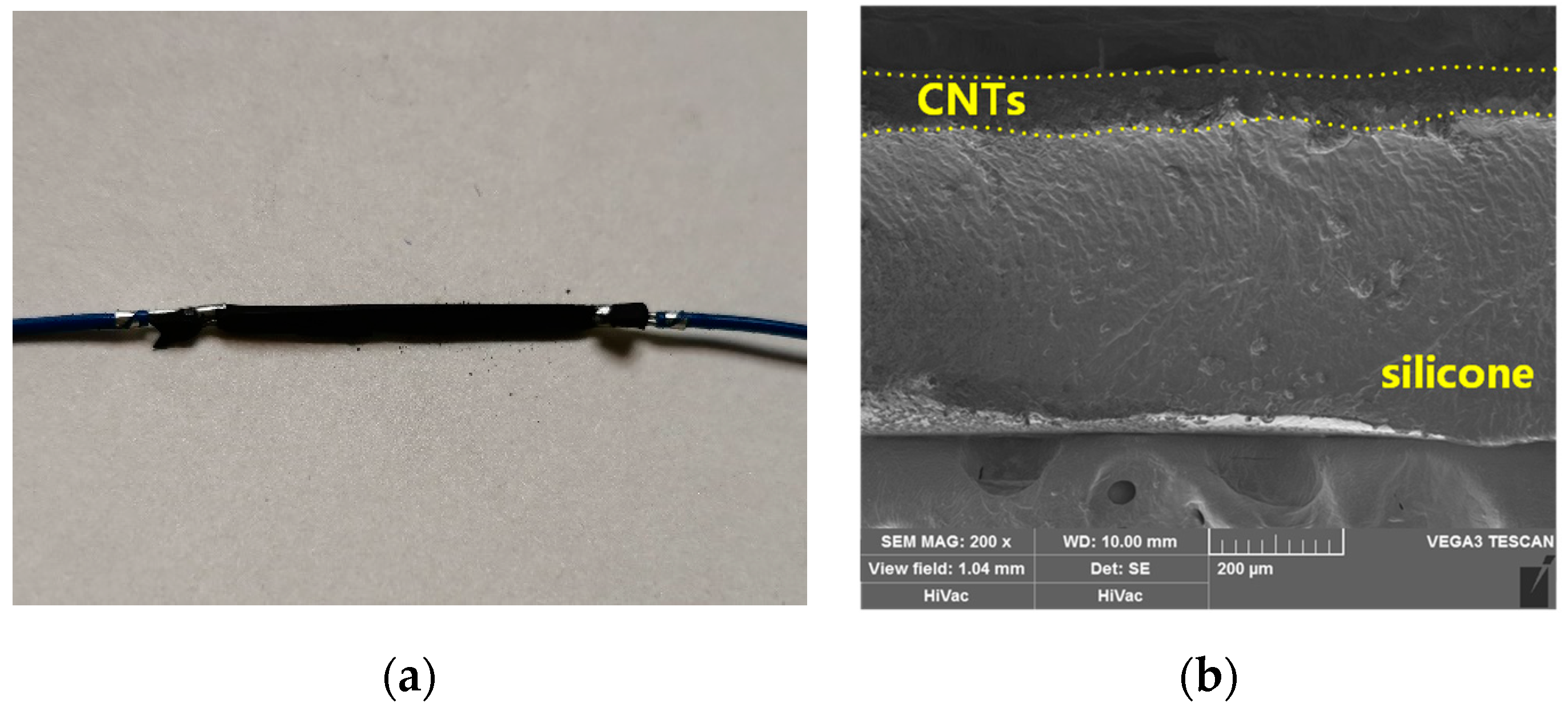 Micromachines 12 00716 g005