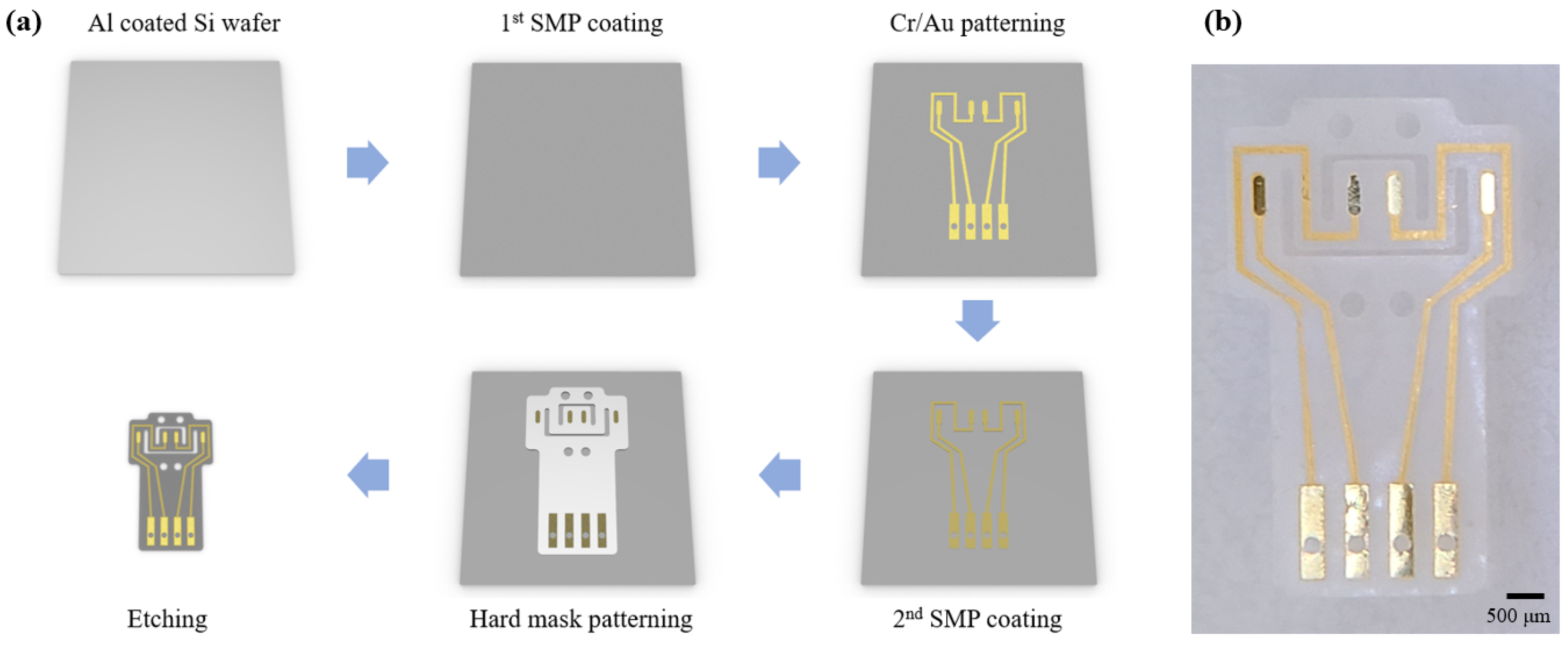 Micromachines 12 00720 g001