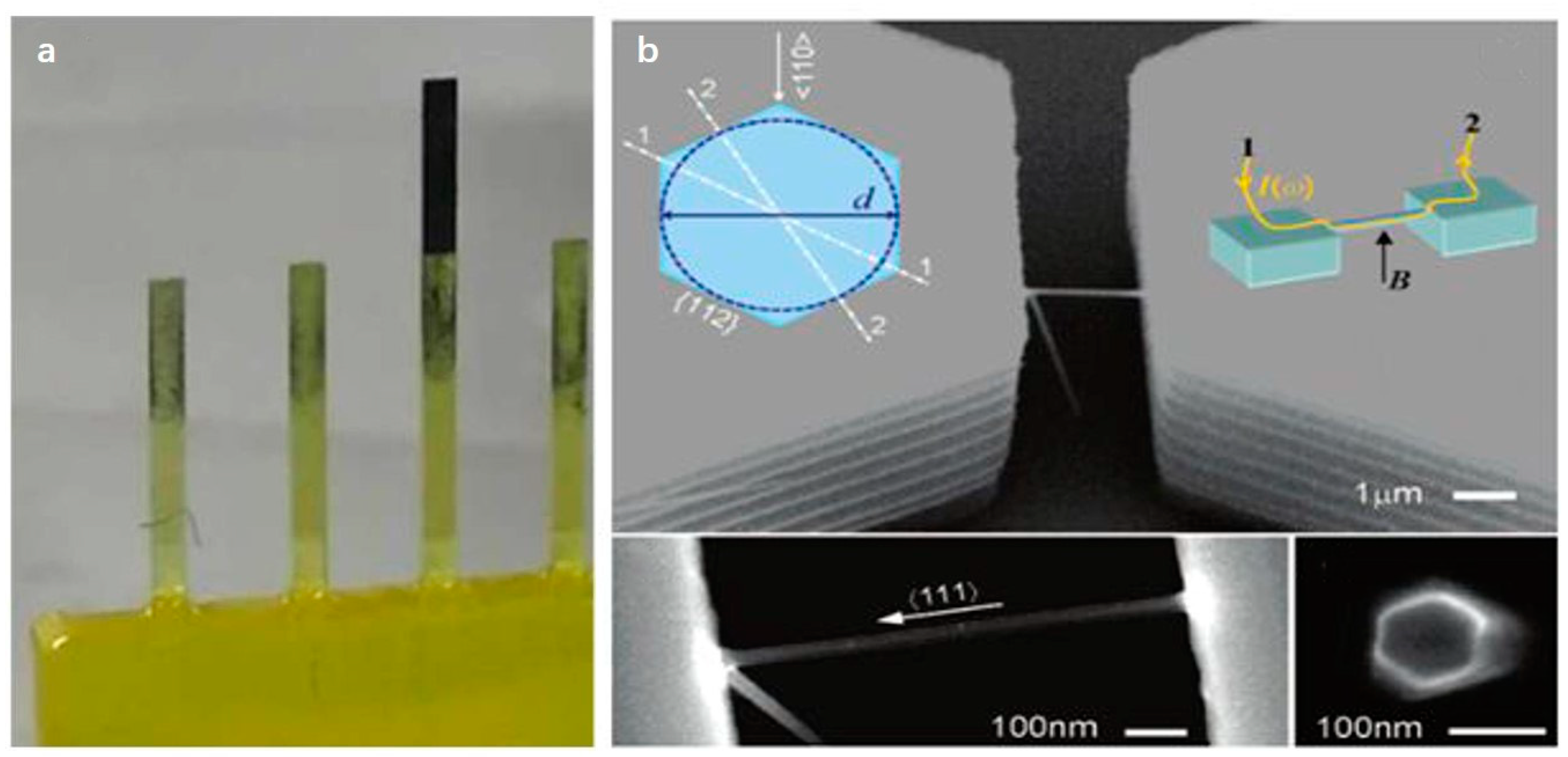 Micromachines 12 00724 g002