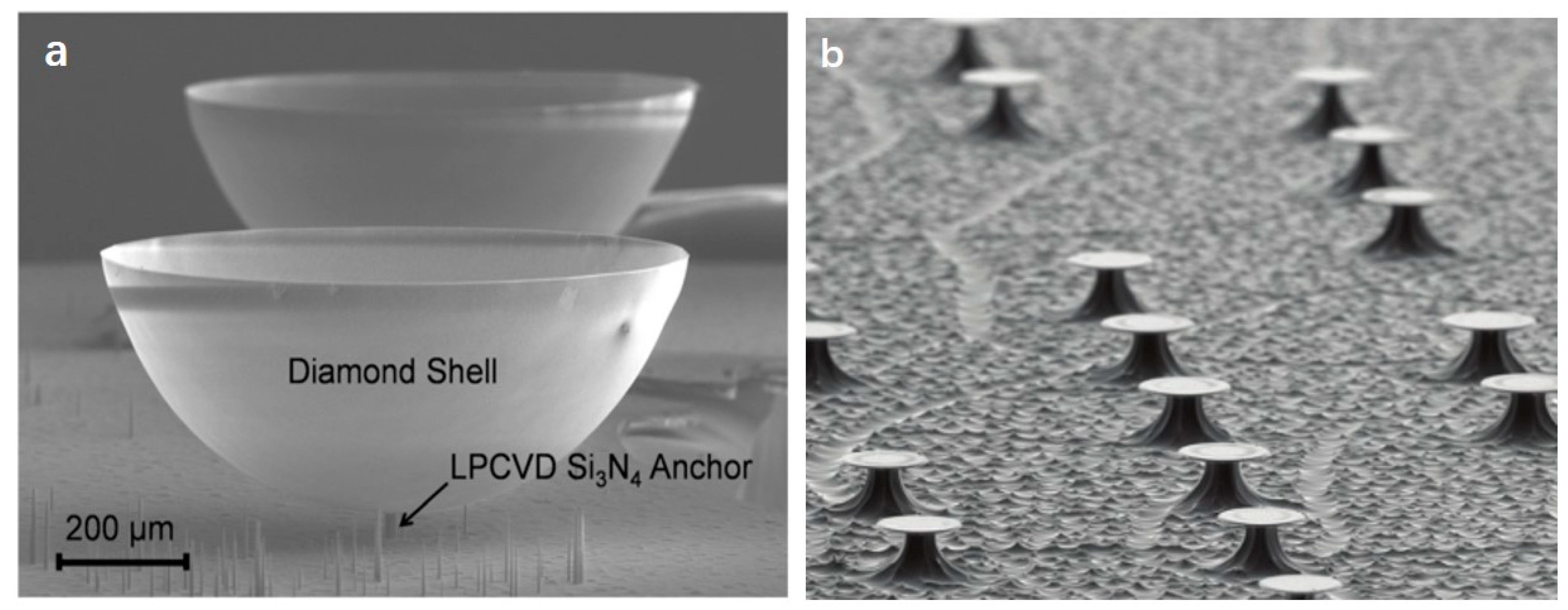 Micromachines 12 00724 g007