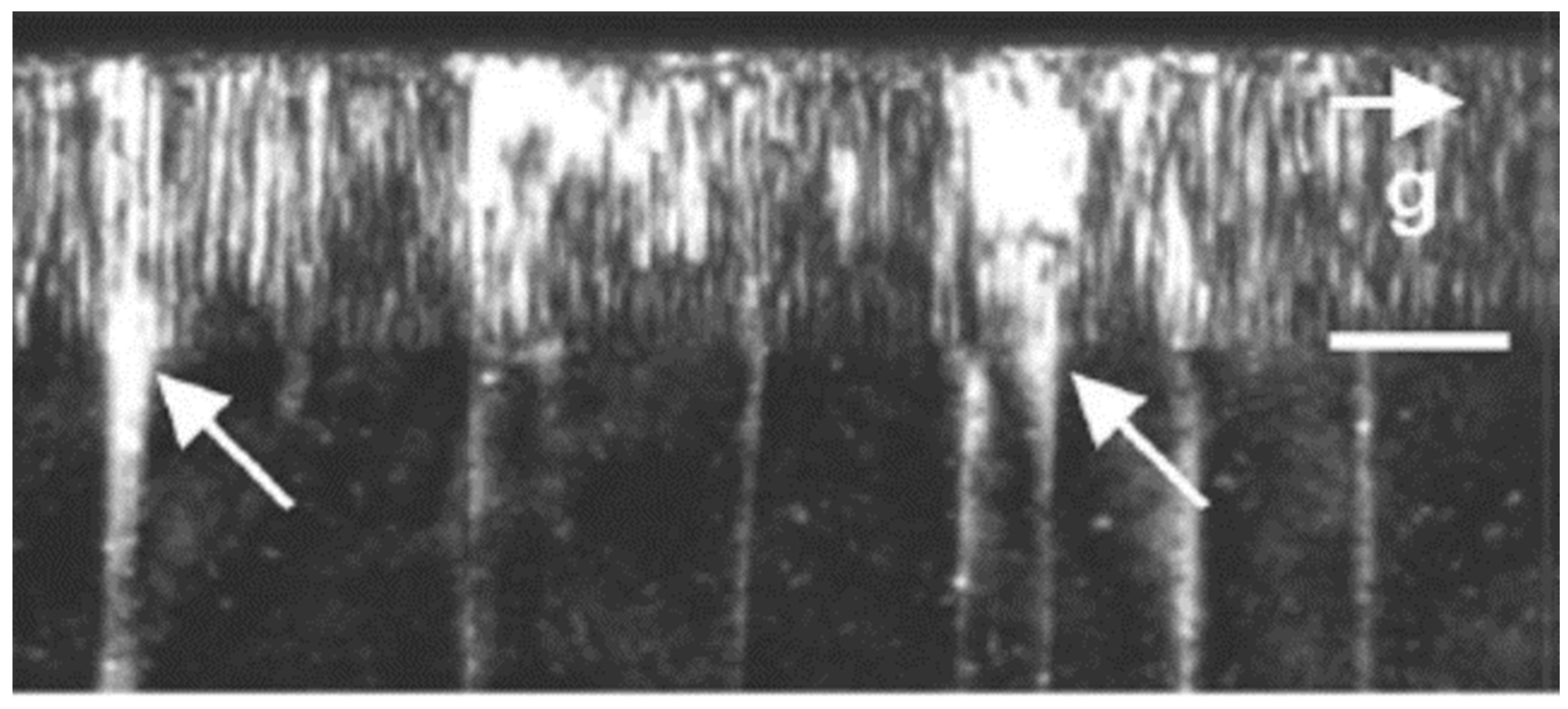 Micromachines 12 00737 g008