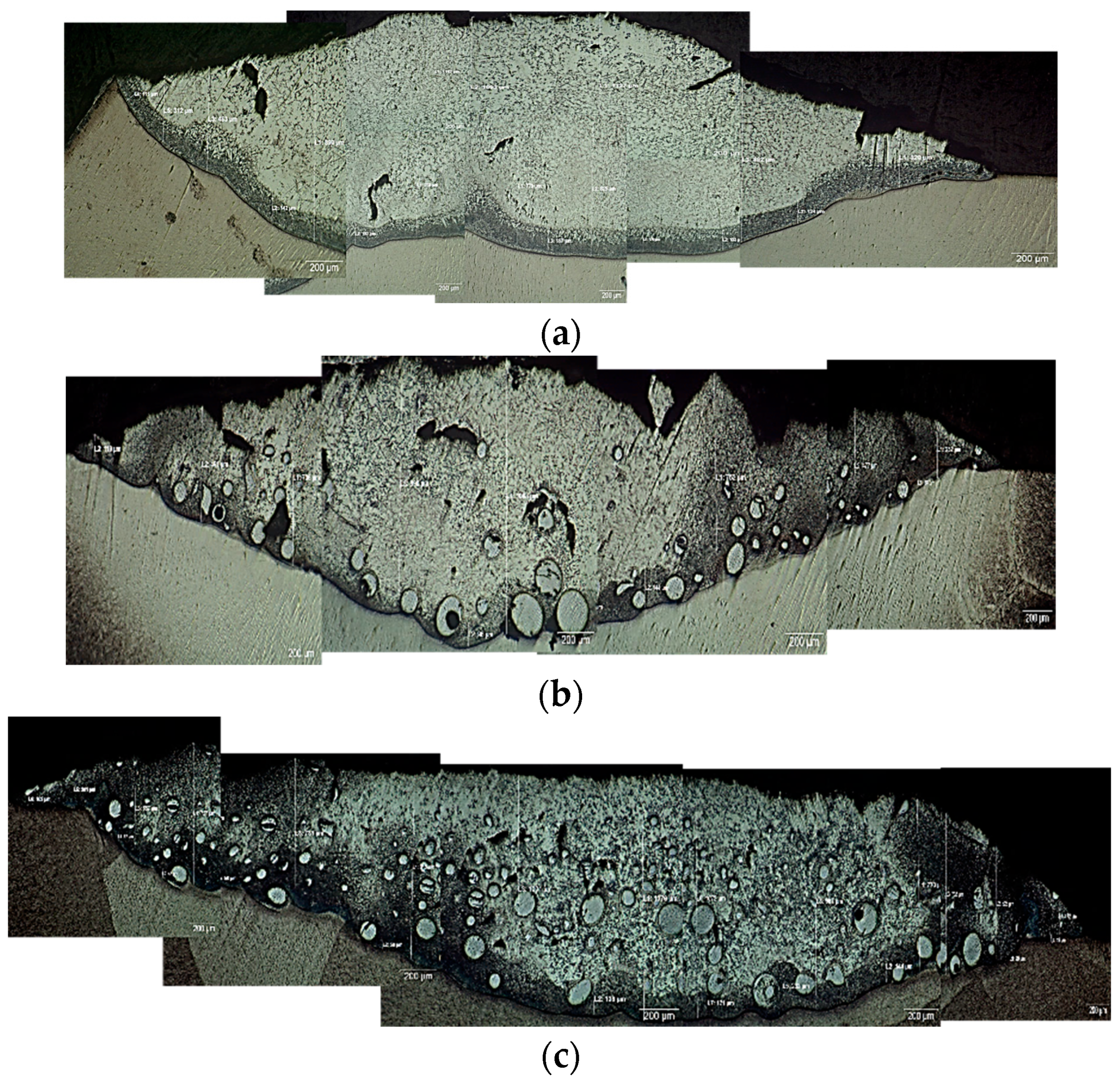 Micromachines 12 00739 g003