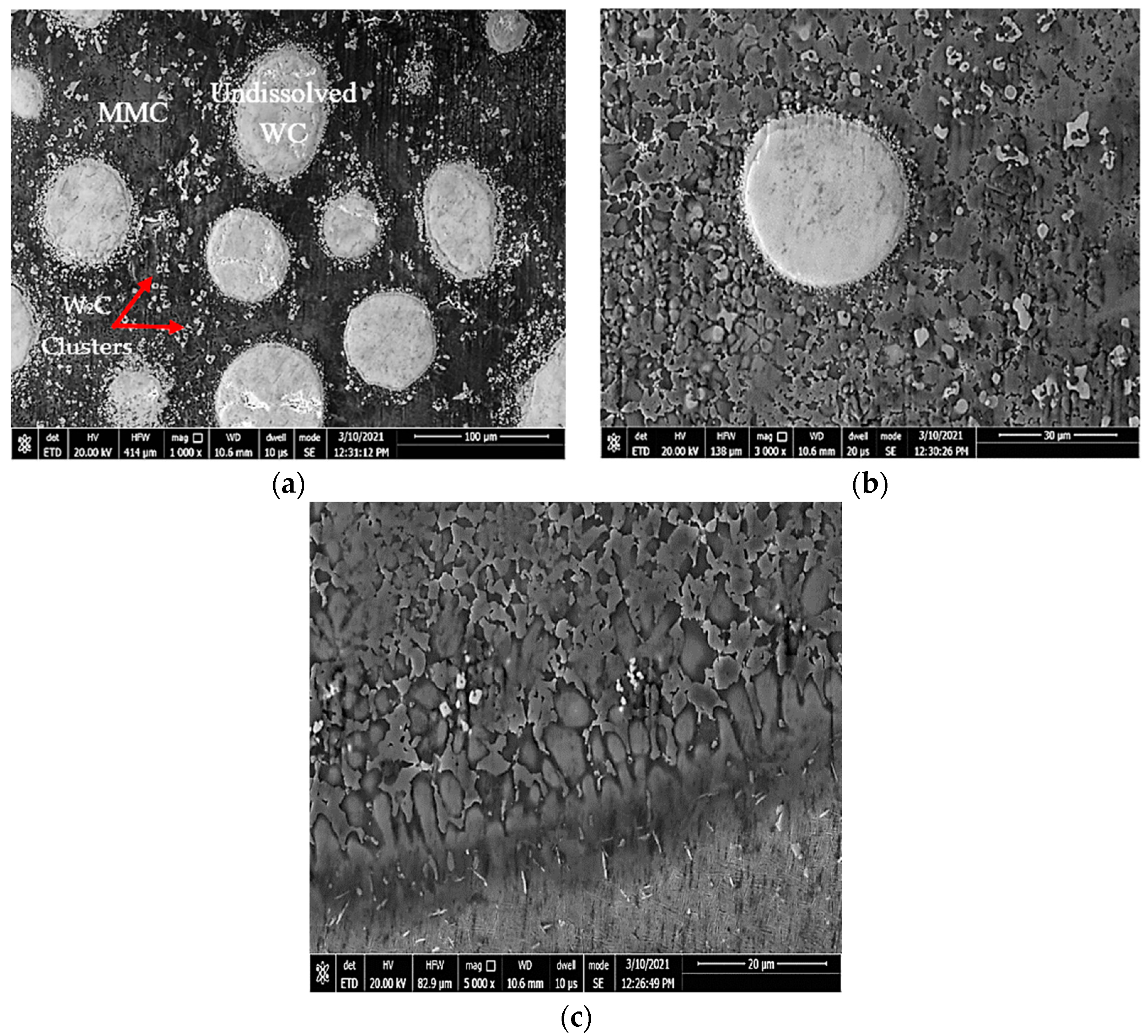 Micromachines 12 00739 g015