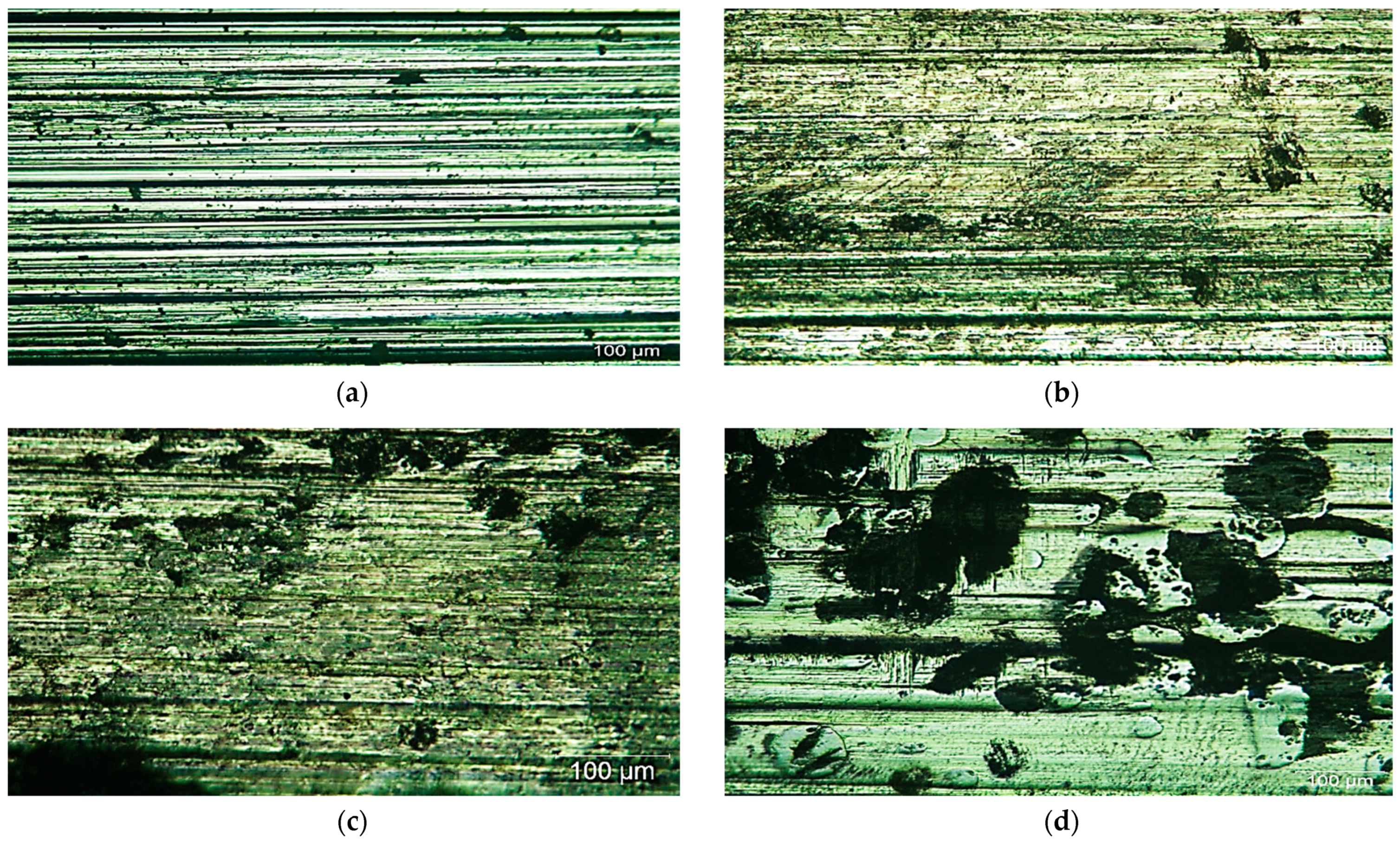 Micromachines 12 00739 g021