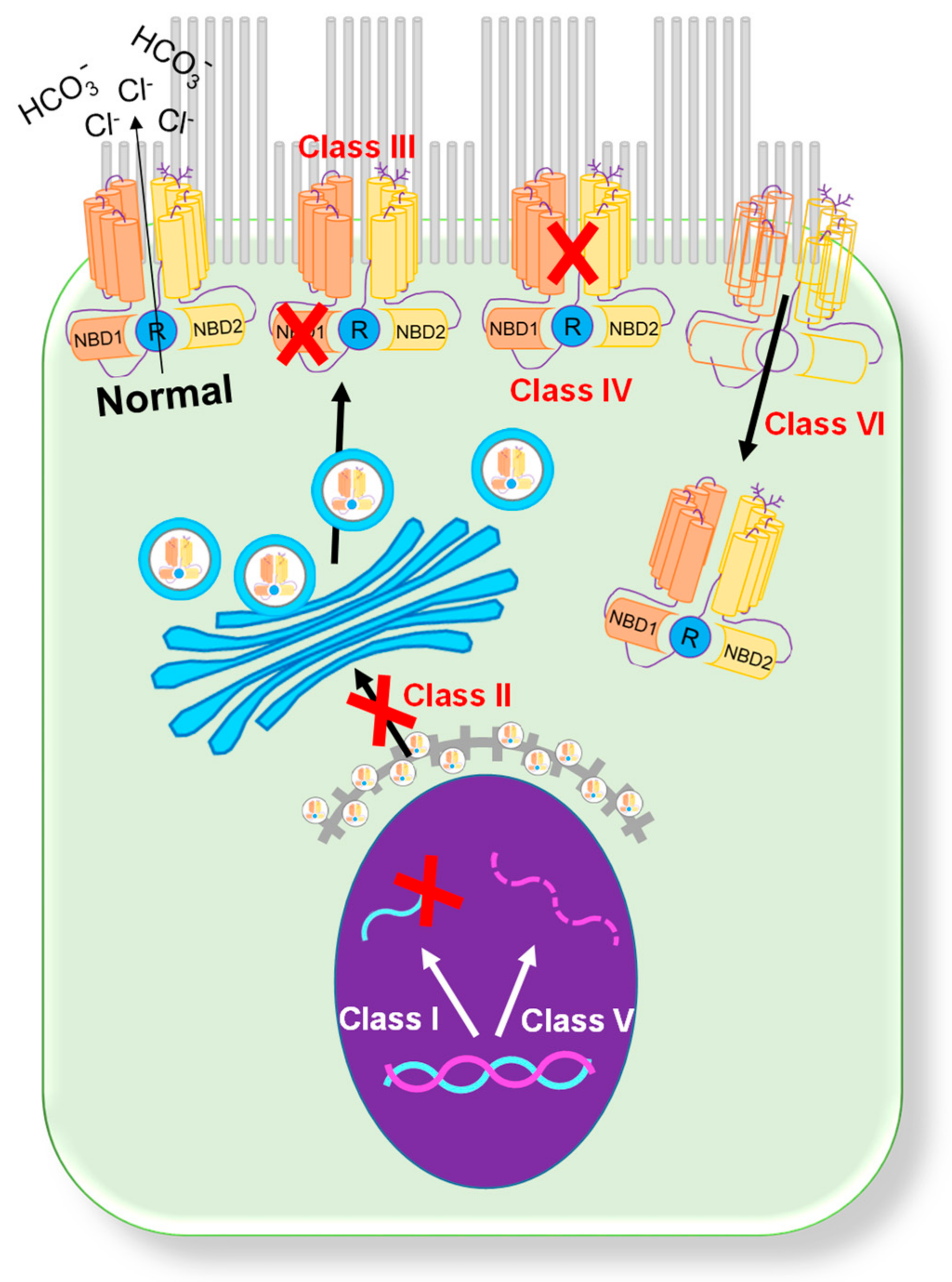 Micromachines 12 00747 g001 Micromachines 12 00747 g001