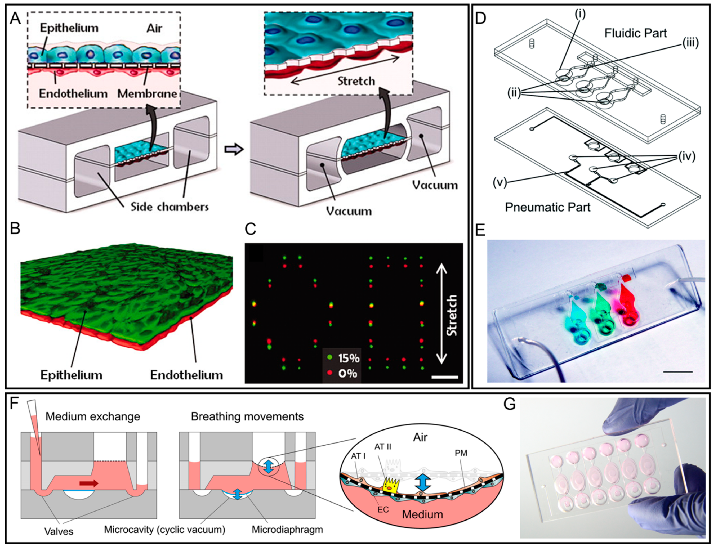 Micromachines 12 00765 g003