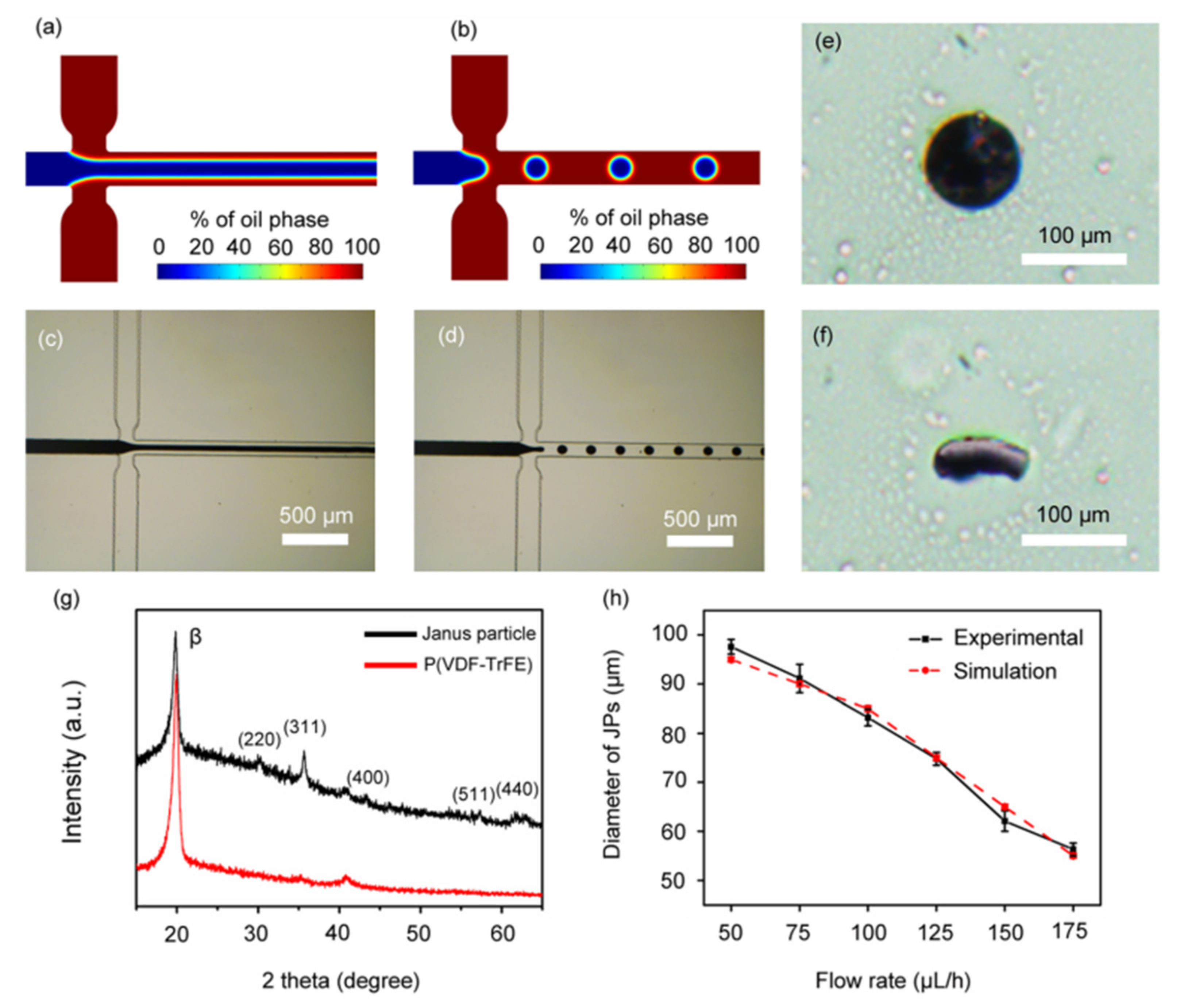 Micromachines 12 00768 g006