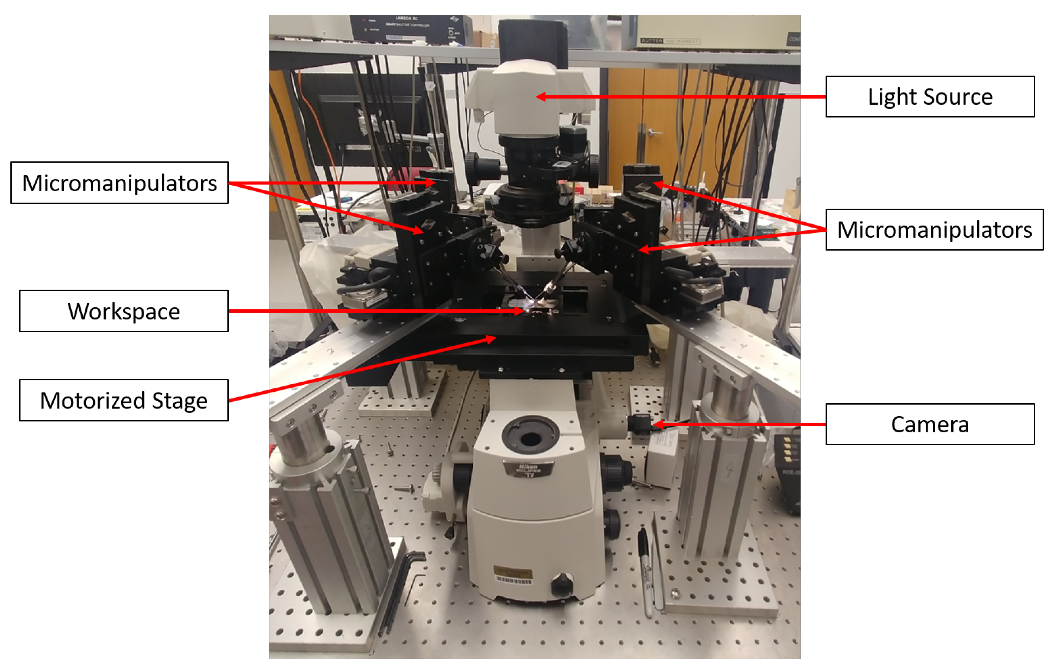 Micromachines 12 00784 g001