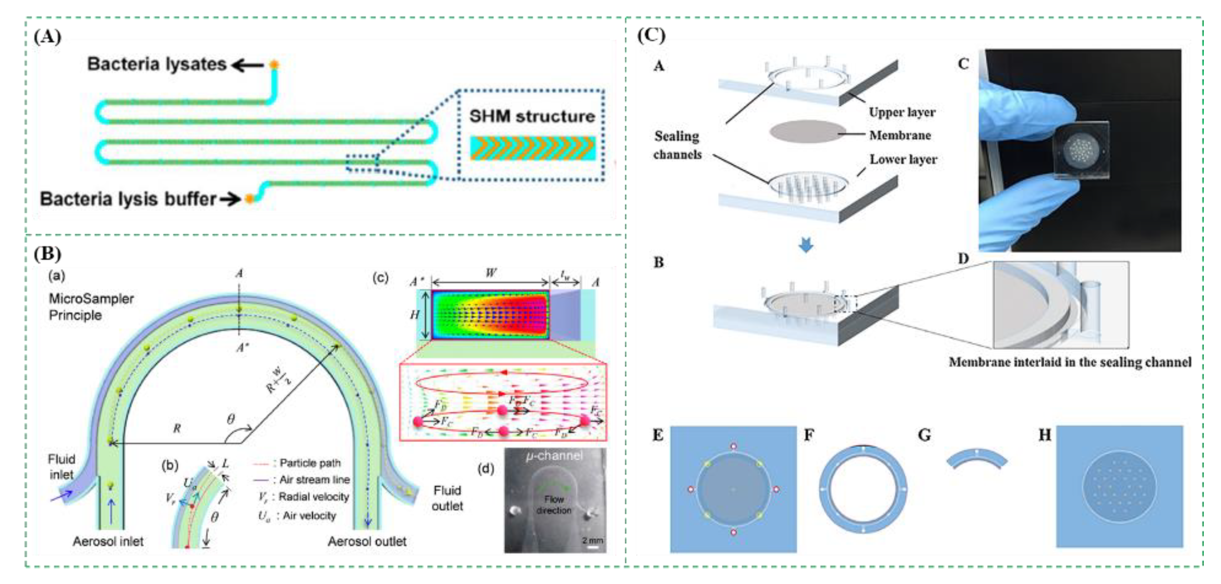 Micromachines 12 00798 g006
