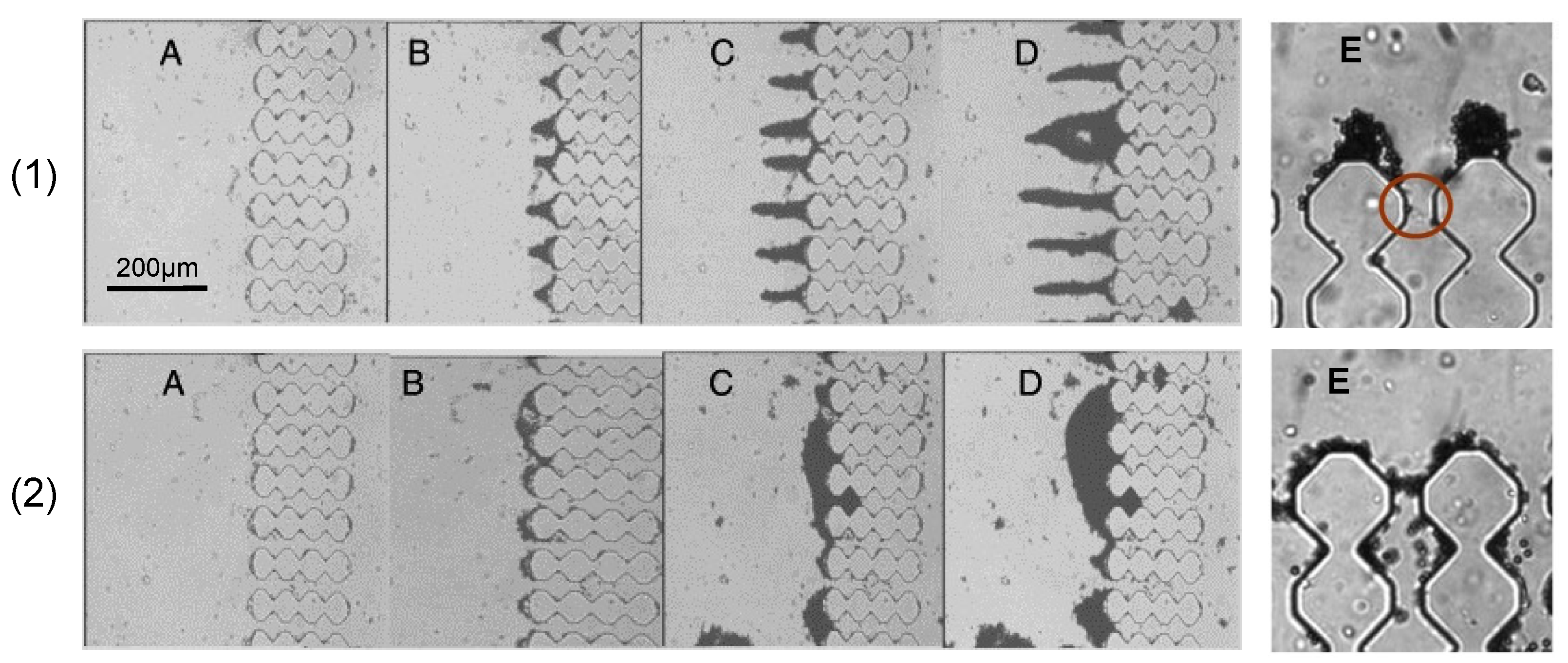 Micromachines 12 00820 g006