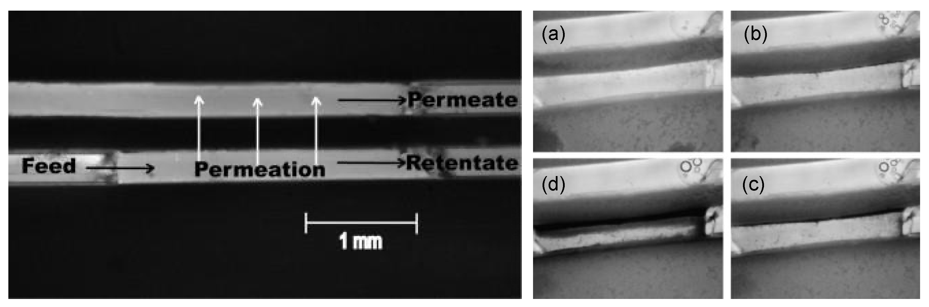 Micromachines 12 00820 g007