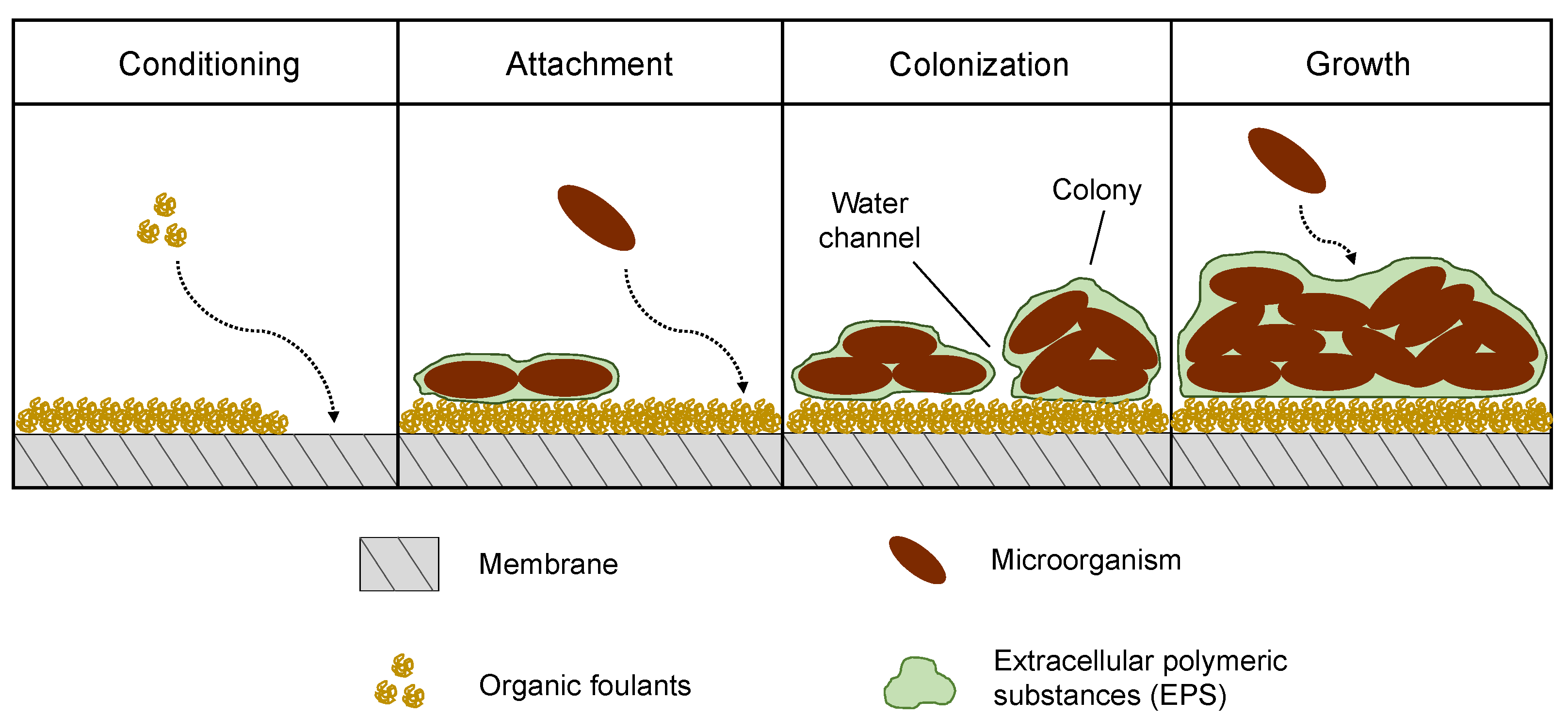 Micromachines 12 00820 g008