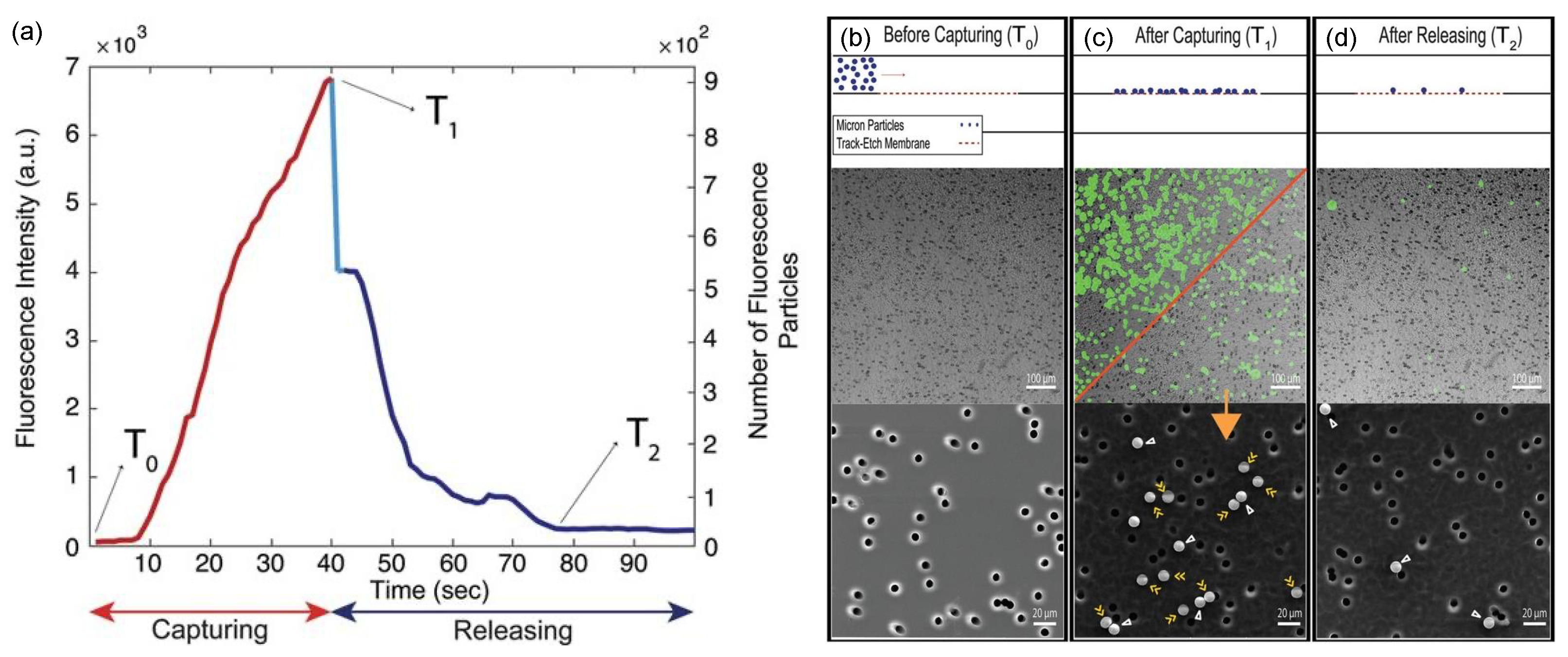 Micromachines 12 00820 g013