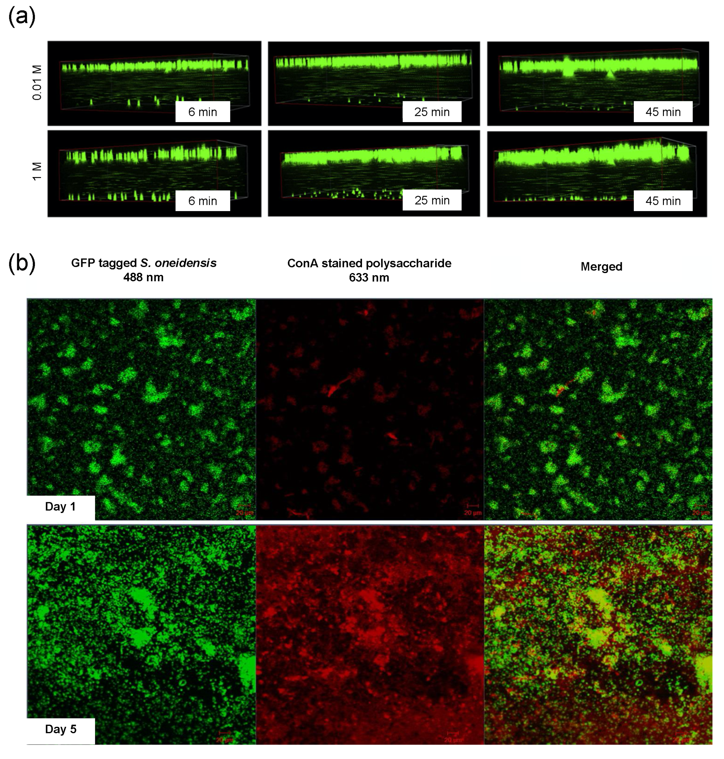 Micromachines 12 00820 g014
