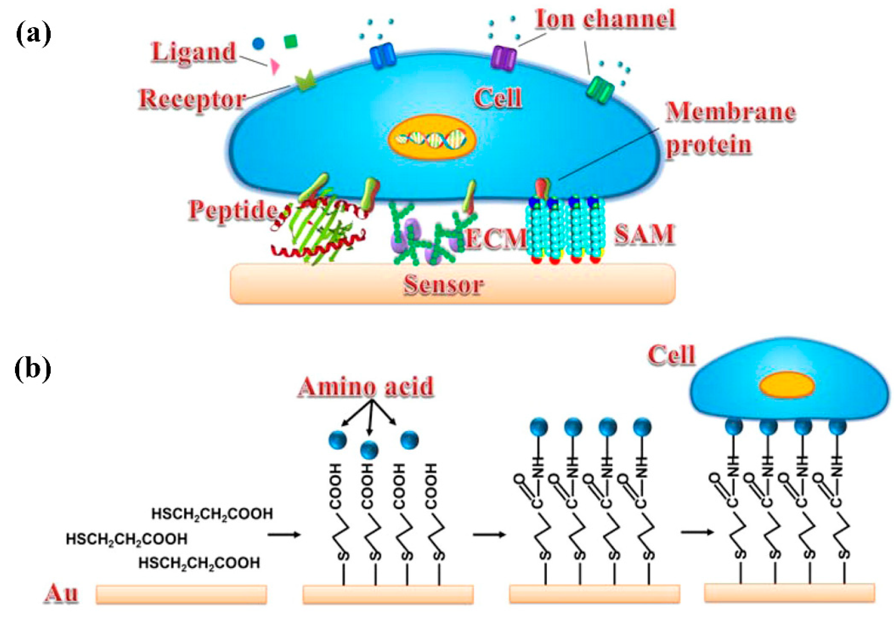 Micromachines 12 00837 g002 Micromachines 12 00837 g002