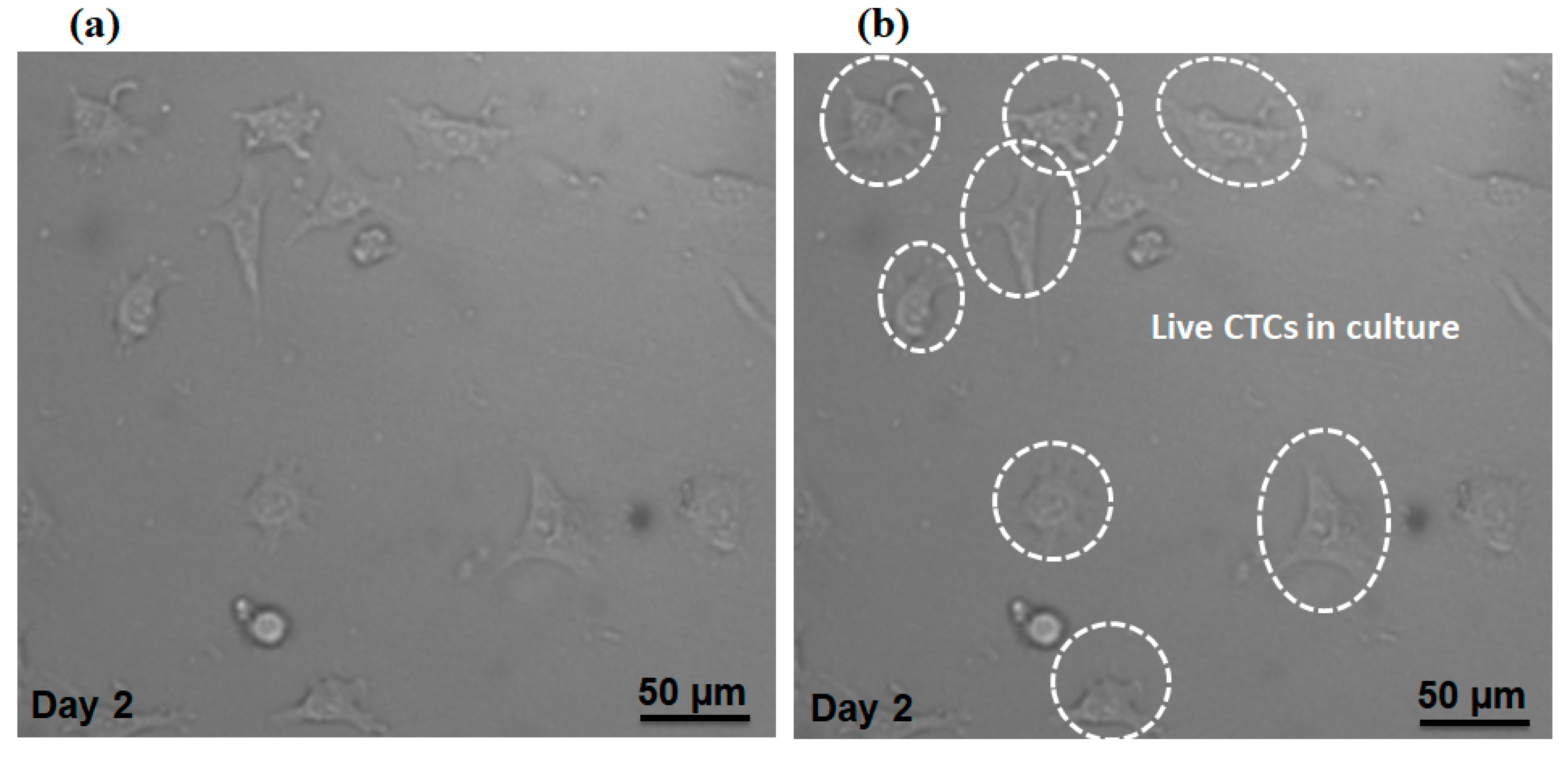Micromachines 12 00877 g009