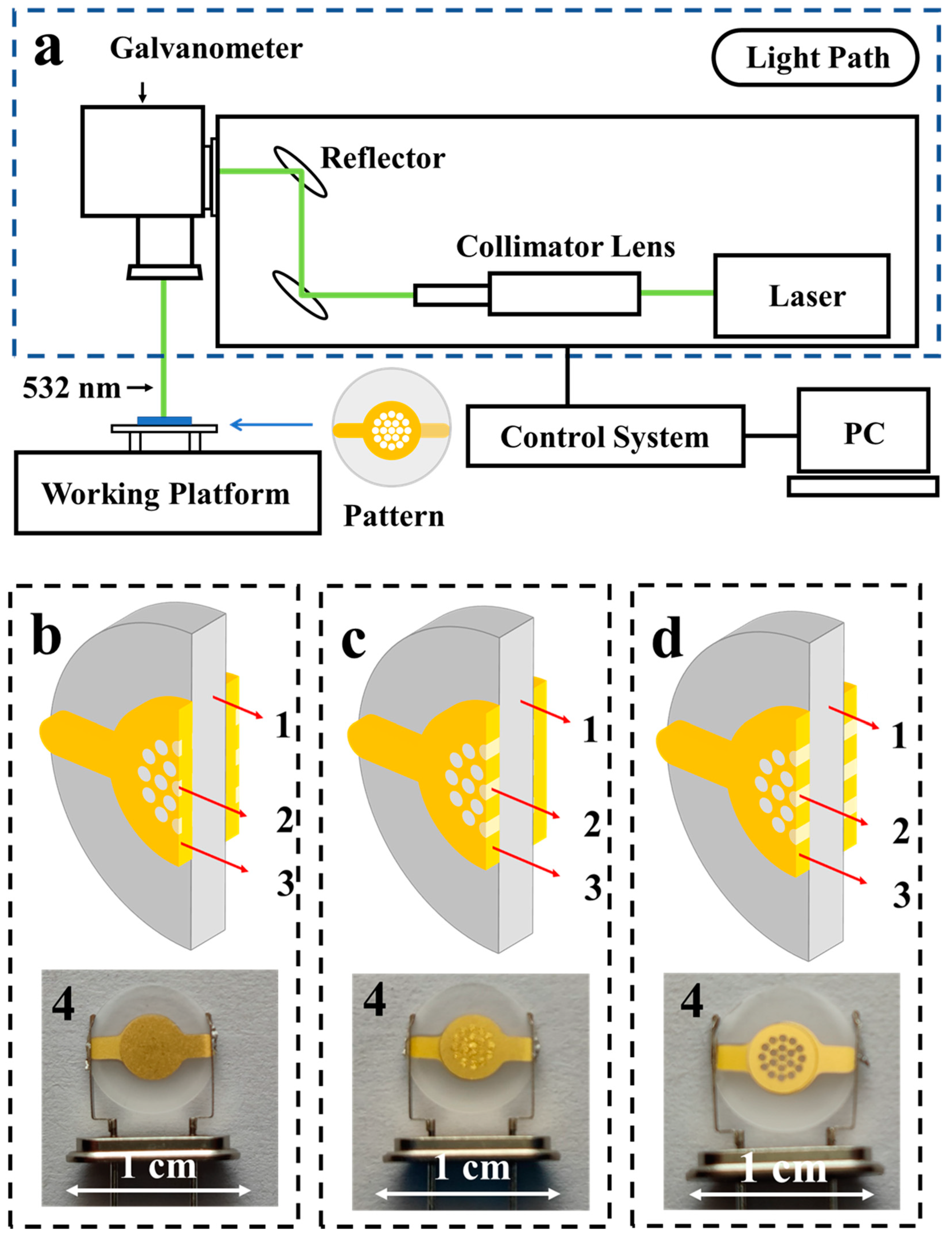 Micromachines 12 00894 g001