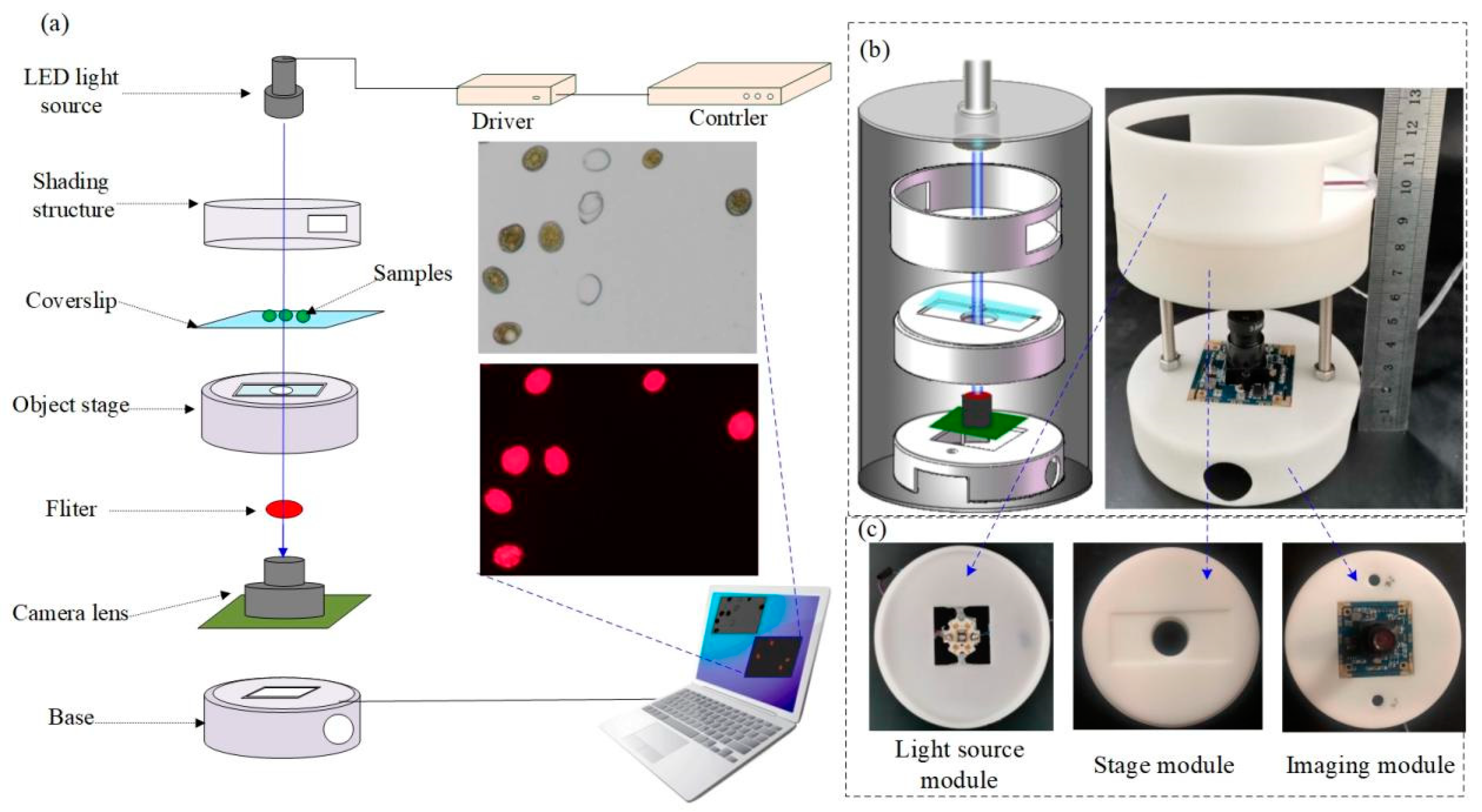 Micromachines 12 00896 g001
