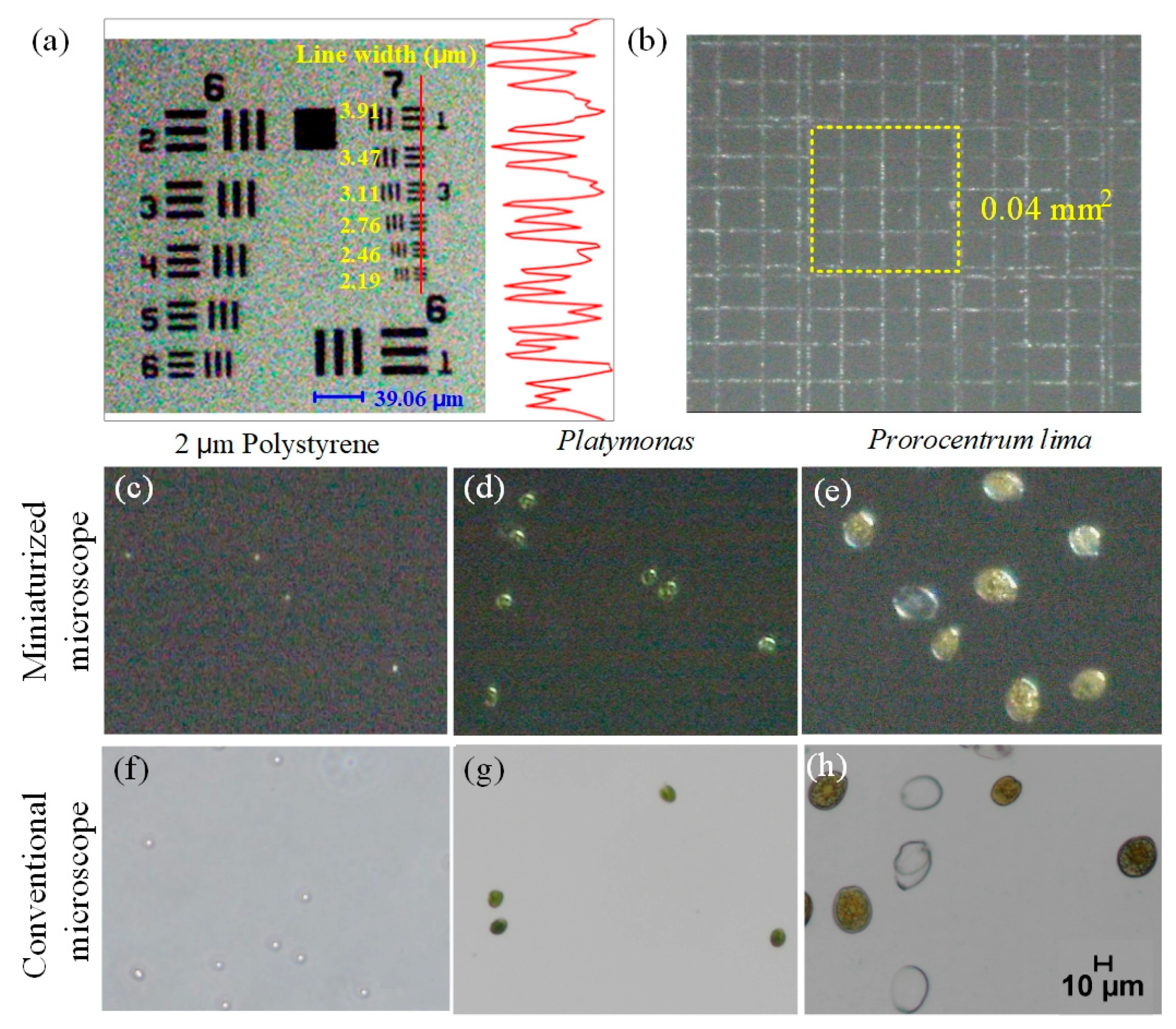 Micromachines 12 00896 g002