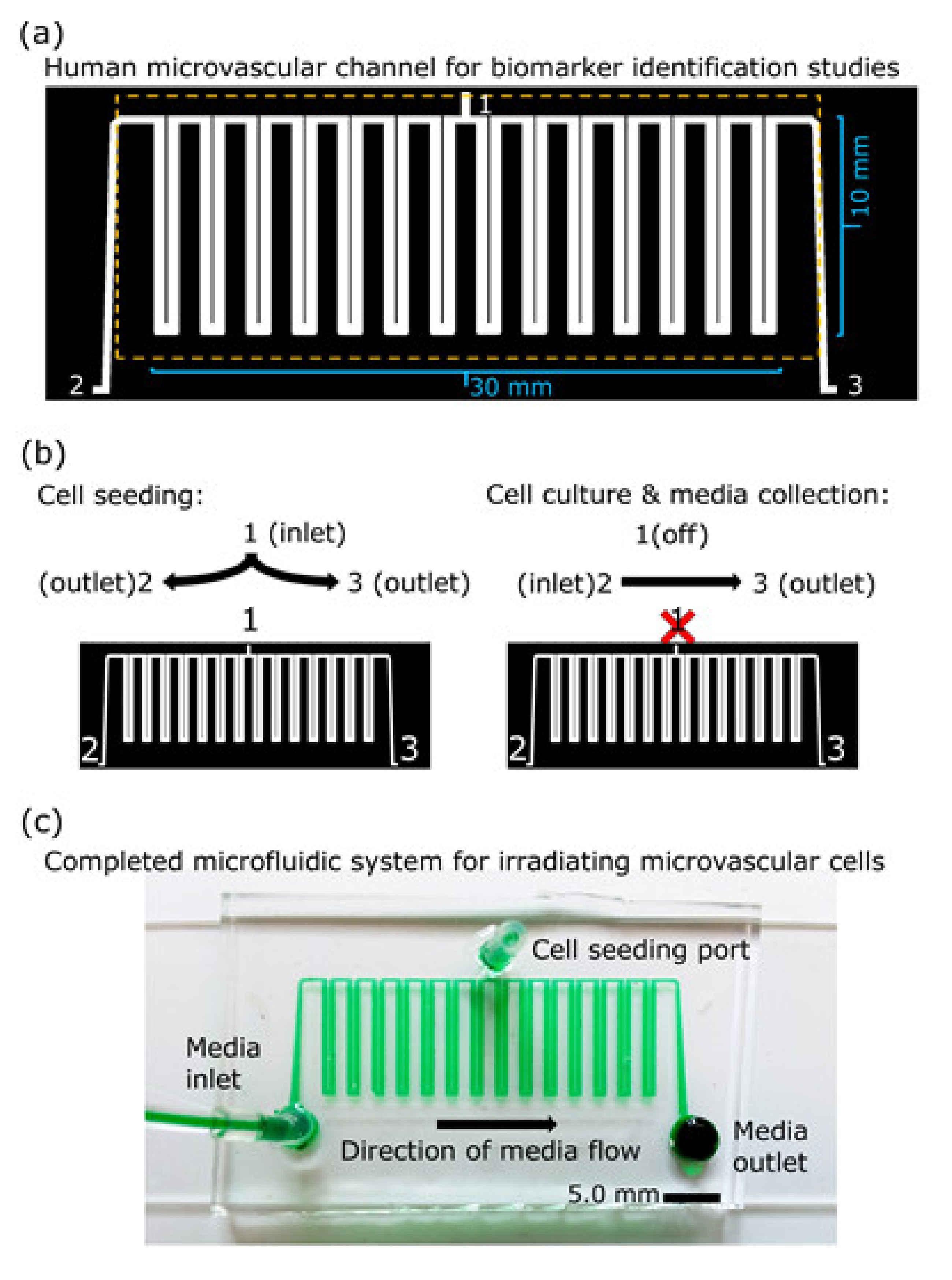 Micromachines 12 00904 g001 Micromachines 12 00904 g001