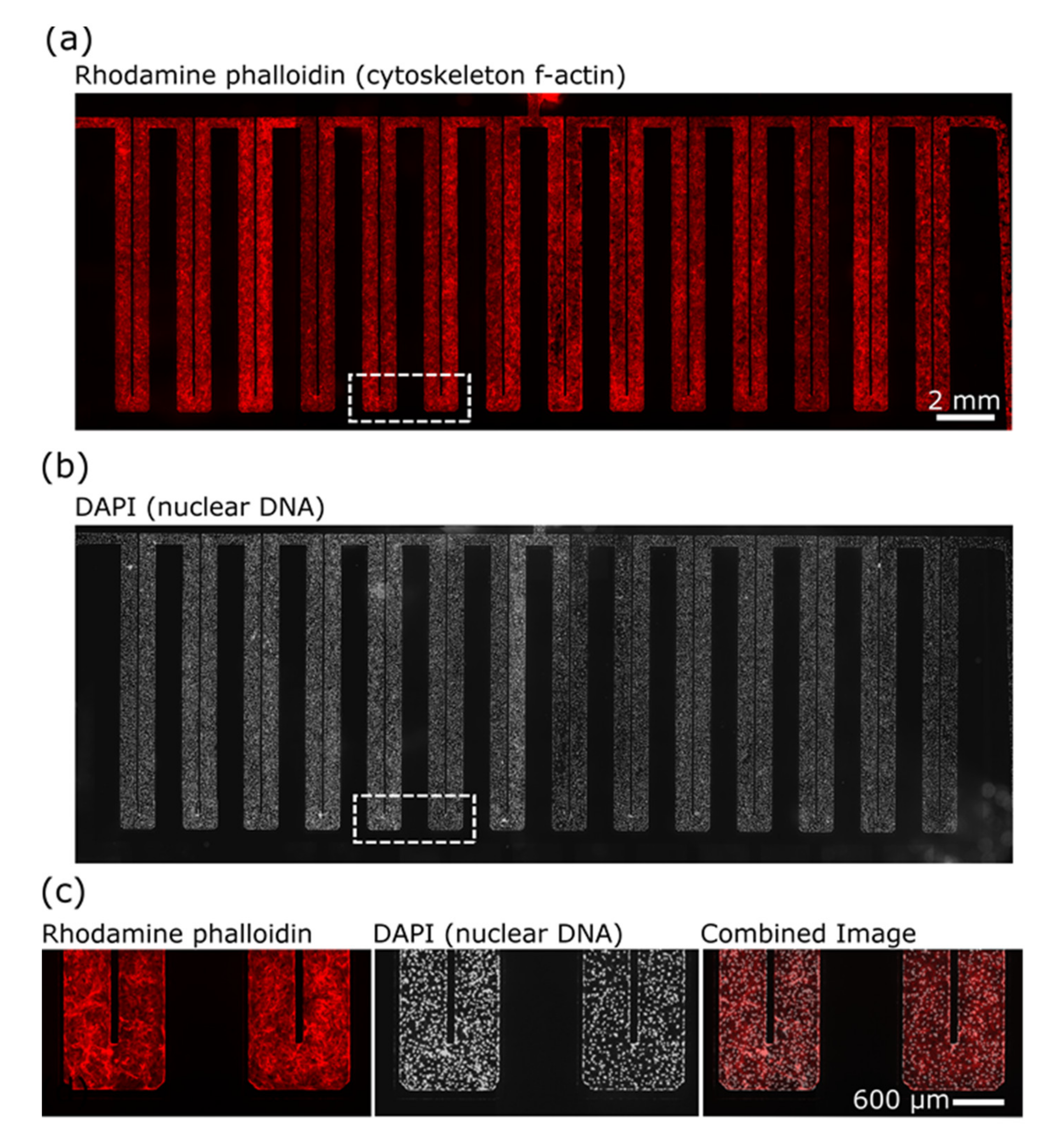 Micromachines 12 00904 g003 Micromachines 12 00904 g003