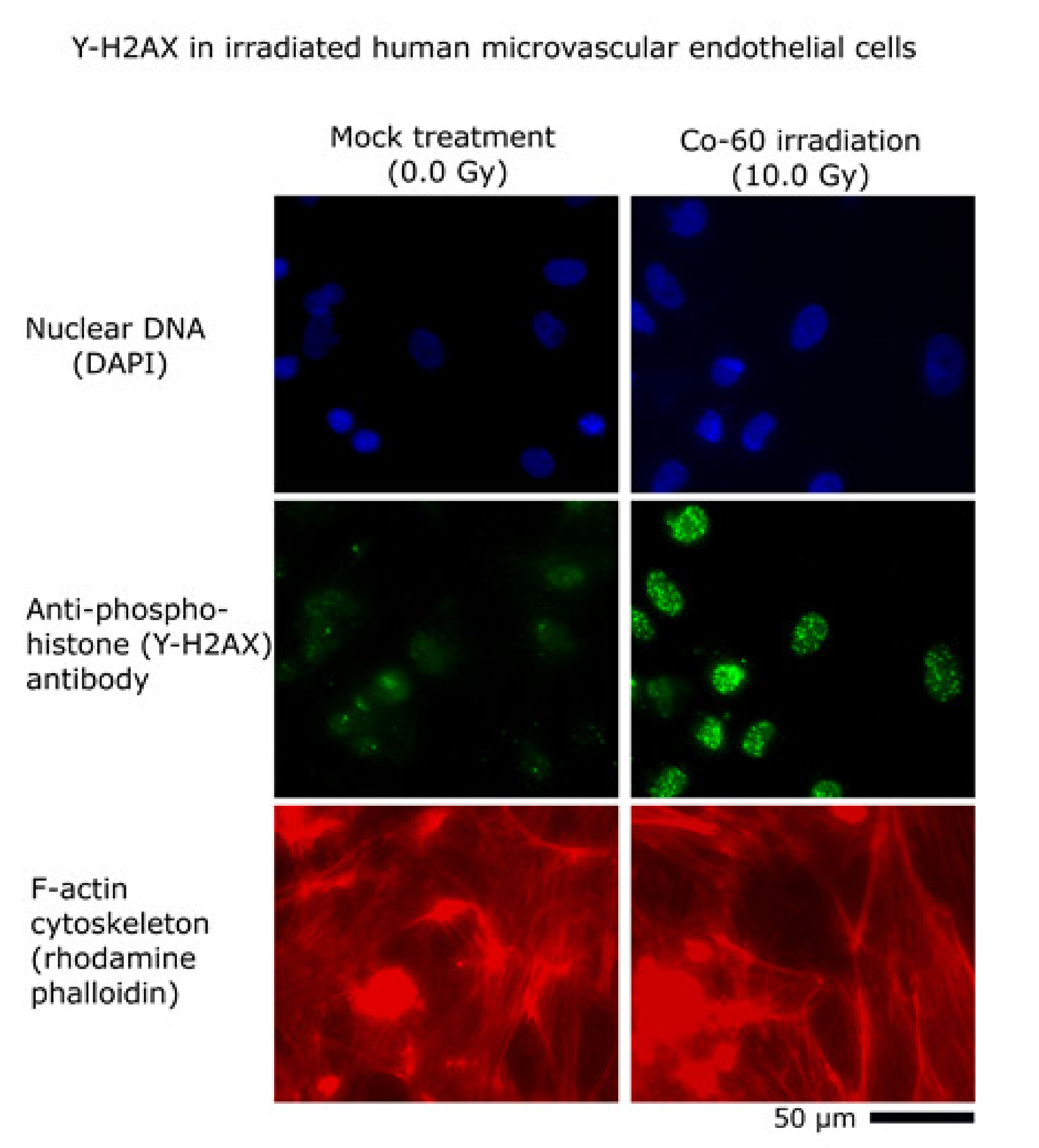 Micromachines 12 00904 g004 Micromachines 12 00904 g004