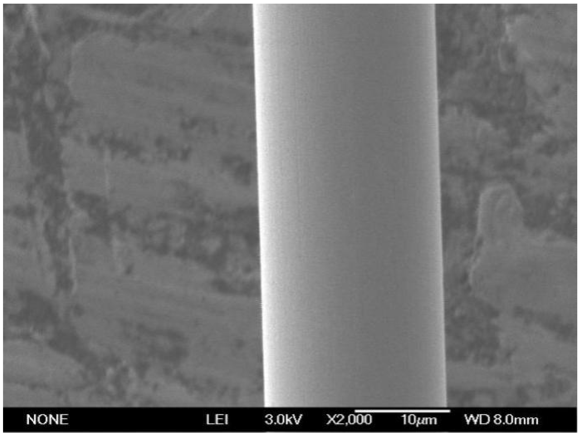 Micromachines 12 00938 g013