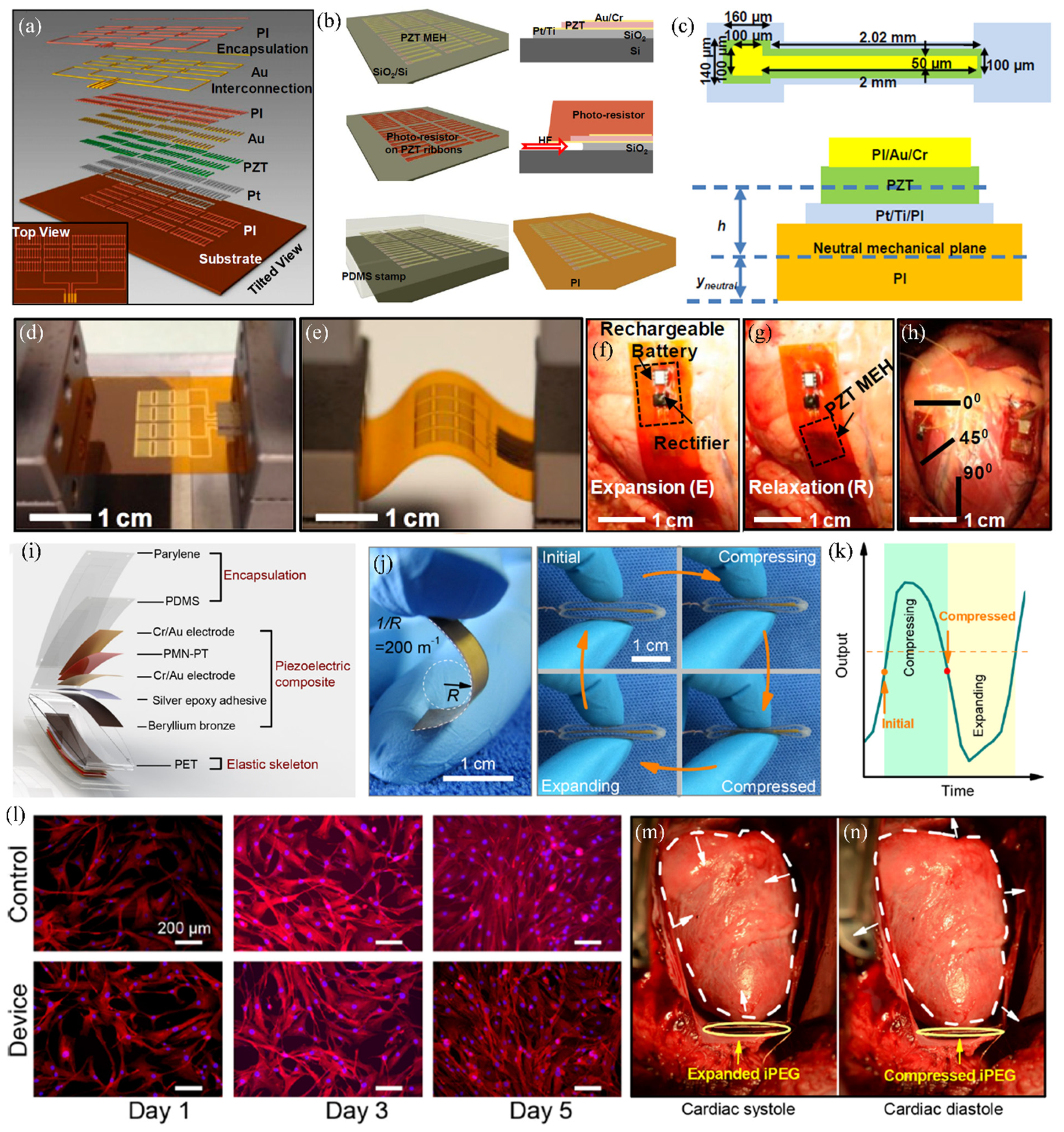 Micromachines 12 00946 g005