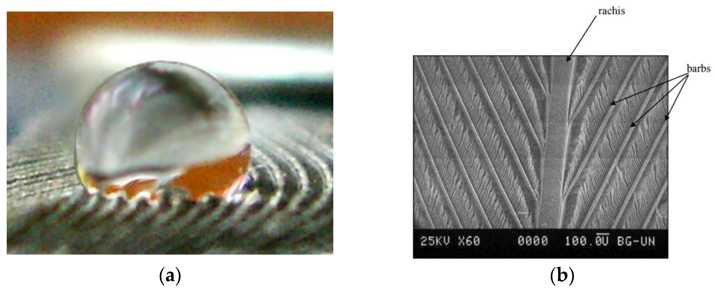 Micromachines 12 01003 g002