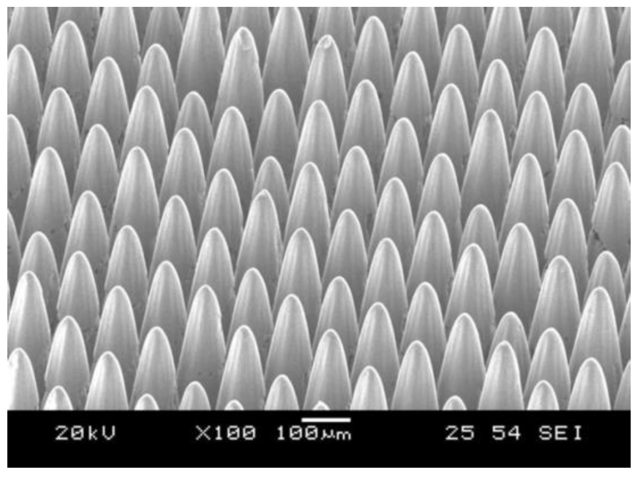 Micromachines 12 01003 g005