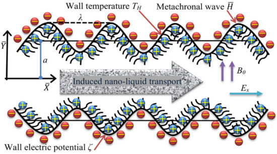 Micromachines 12 01004 g001 550