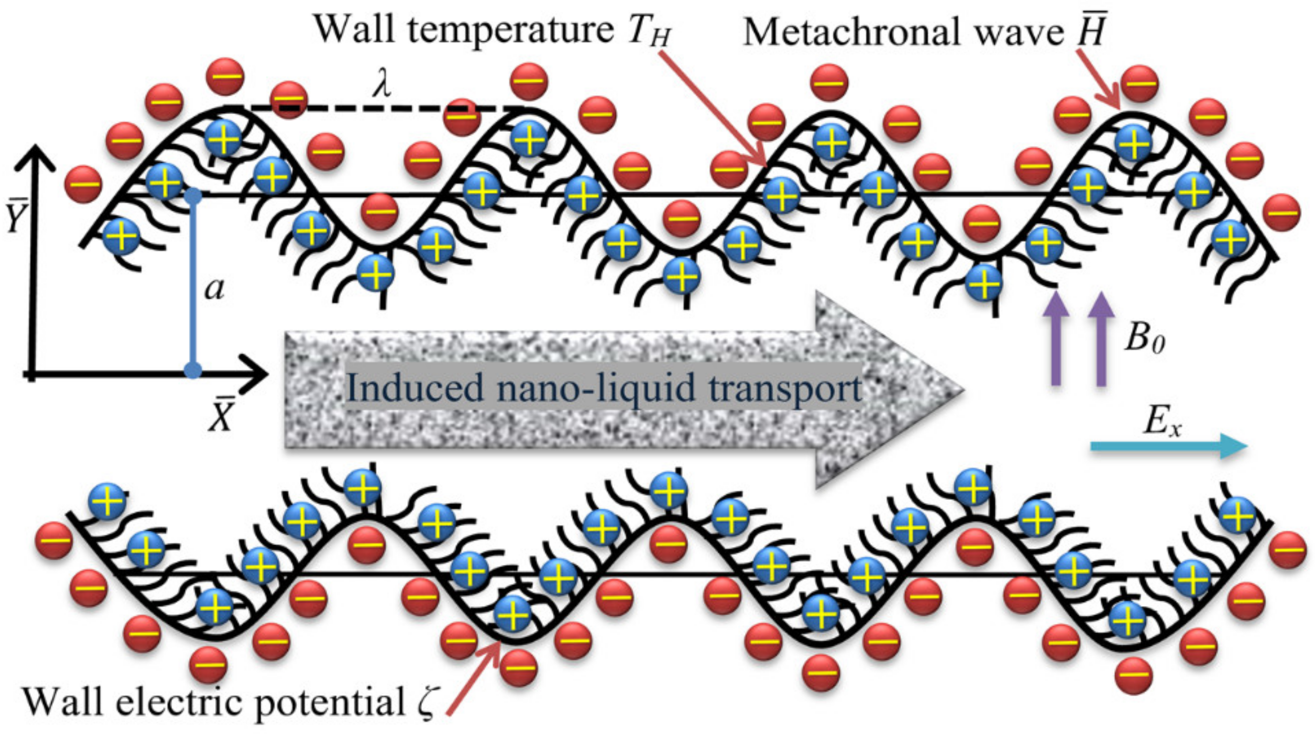 Micromachines 12 01004 g001