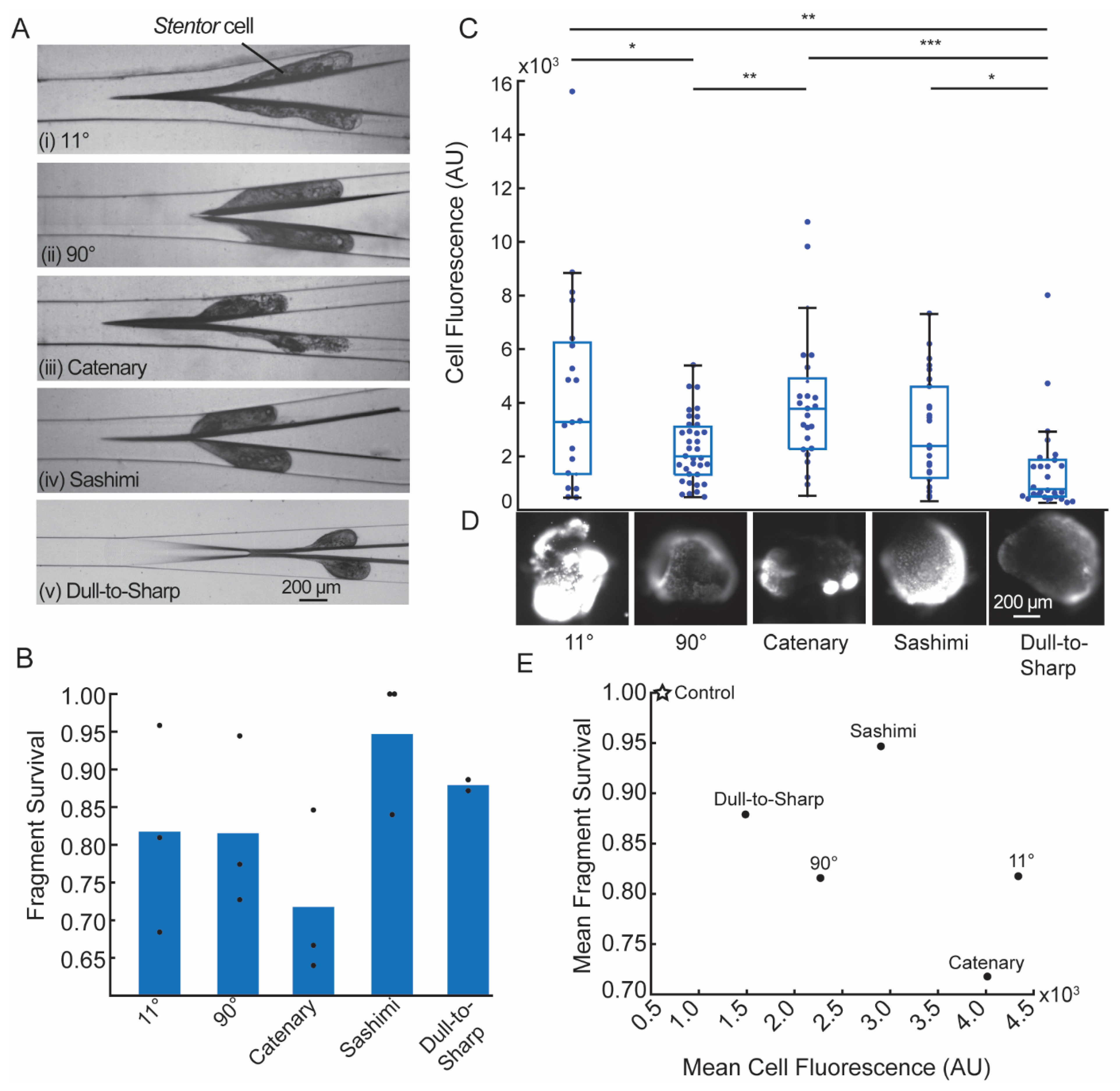 Micromachines 12 01005 g003