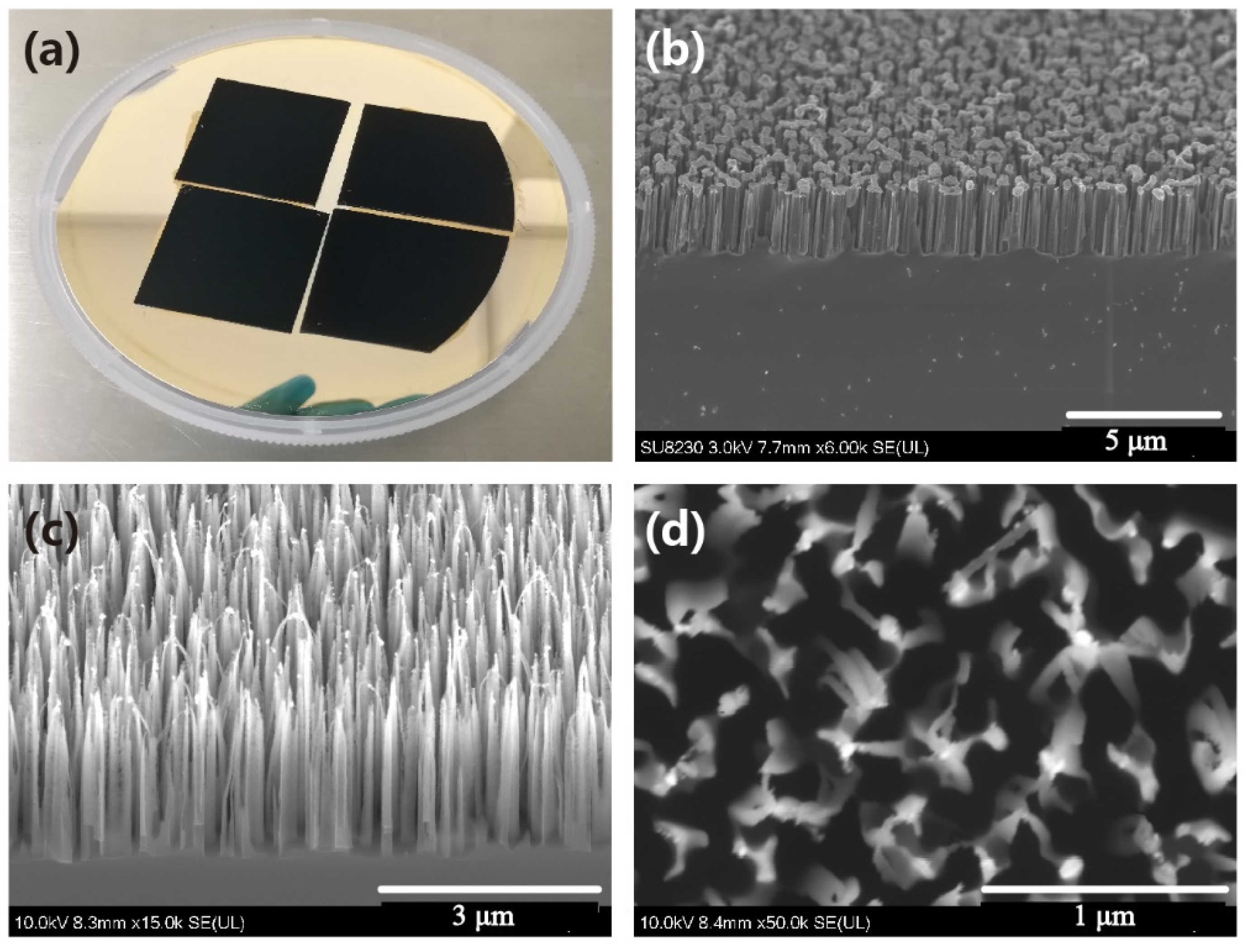 Micromachines 12 01009 g002