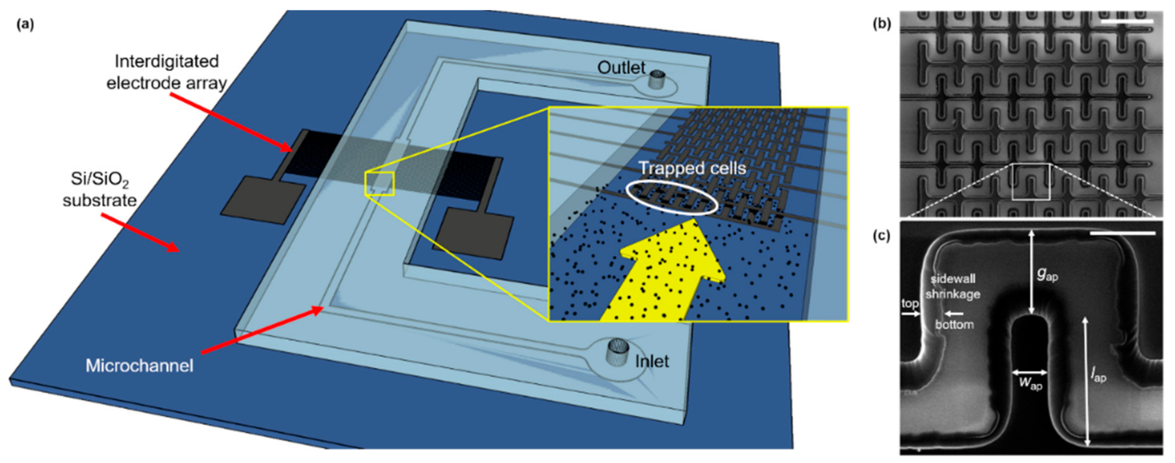 Micromachines 12 01023 g002