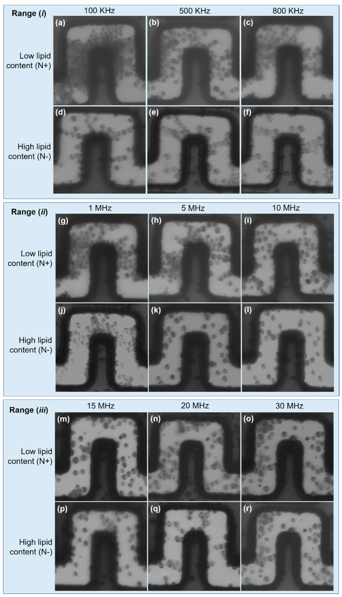 Micromachines 12 01023 g005