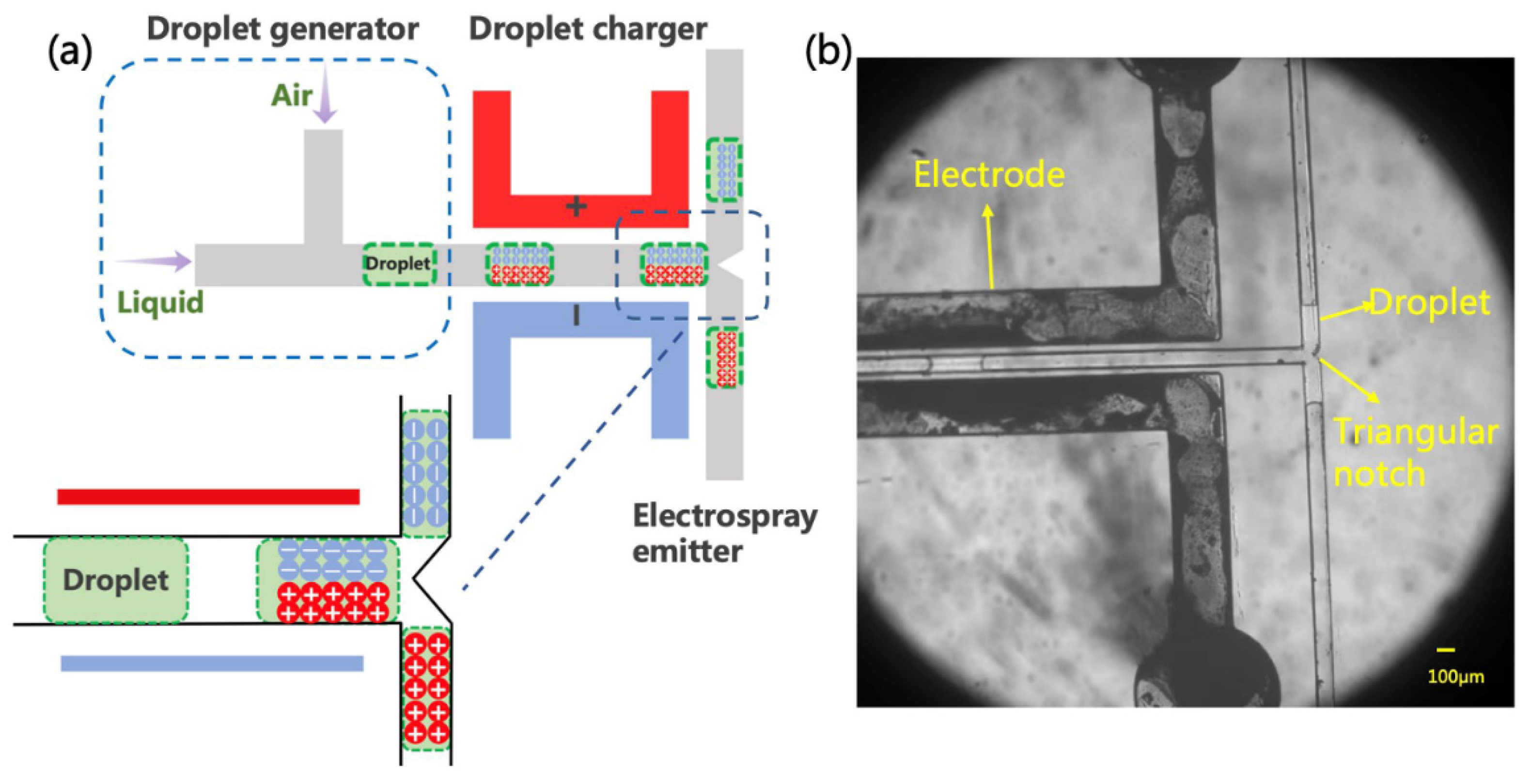 Micromachines 12 01034 g002