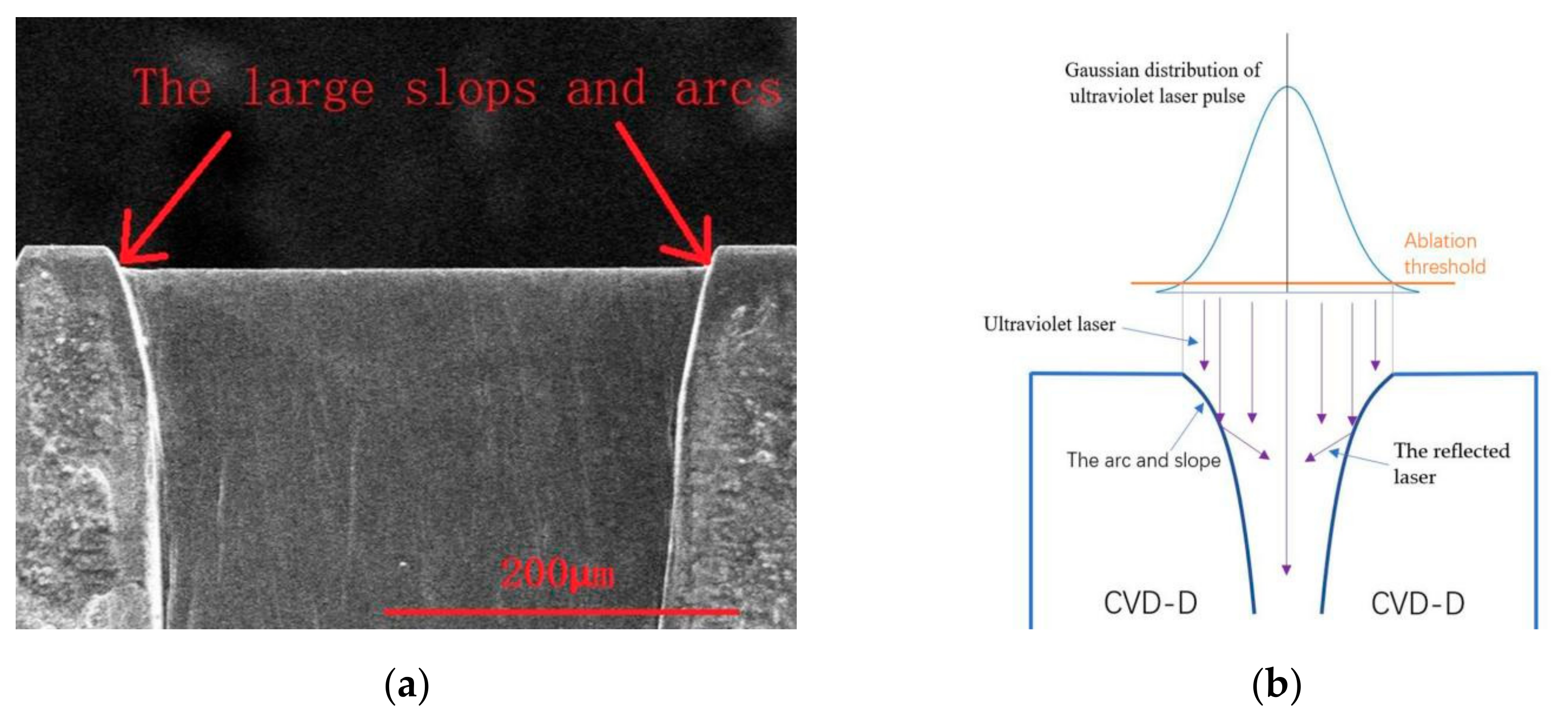 Micromachines 12 01058 g007
