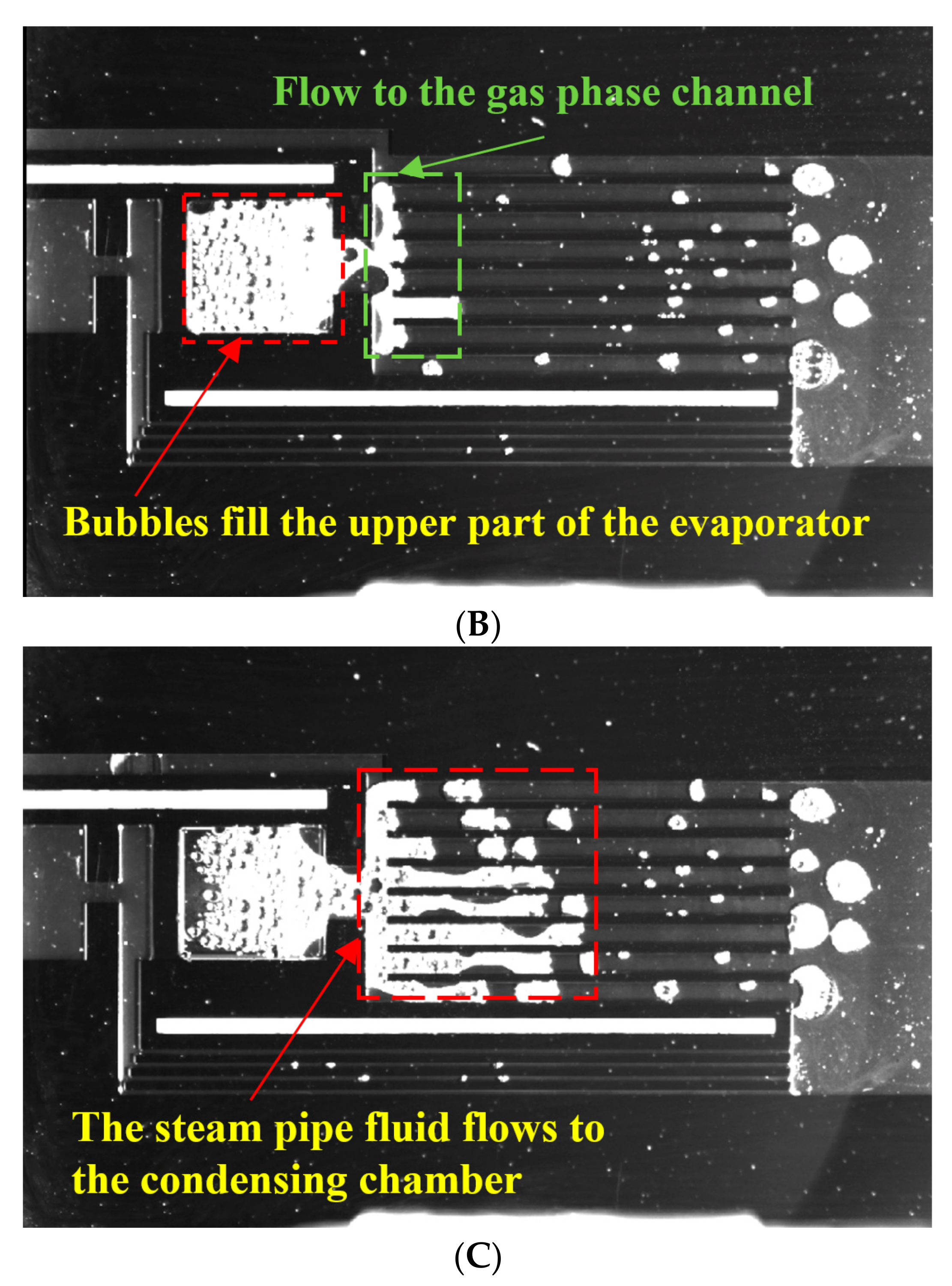 Micromachines 12 01080 g005b