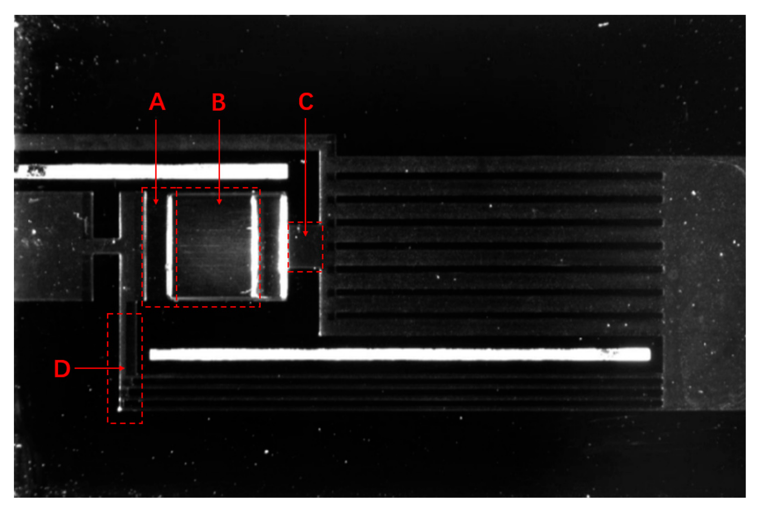 Micromachines 12 01080 g011