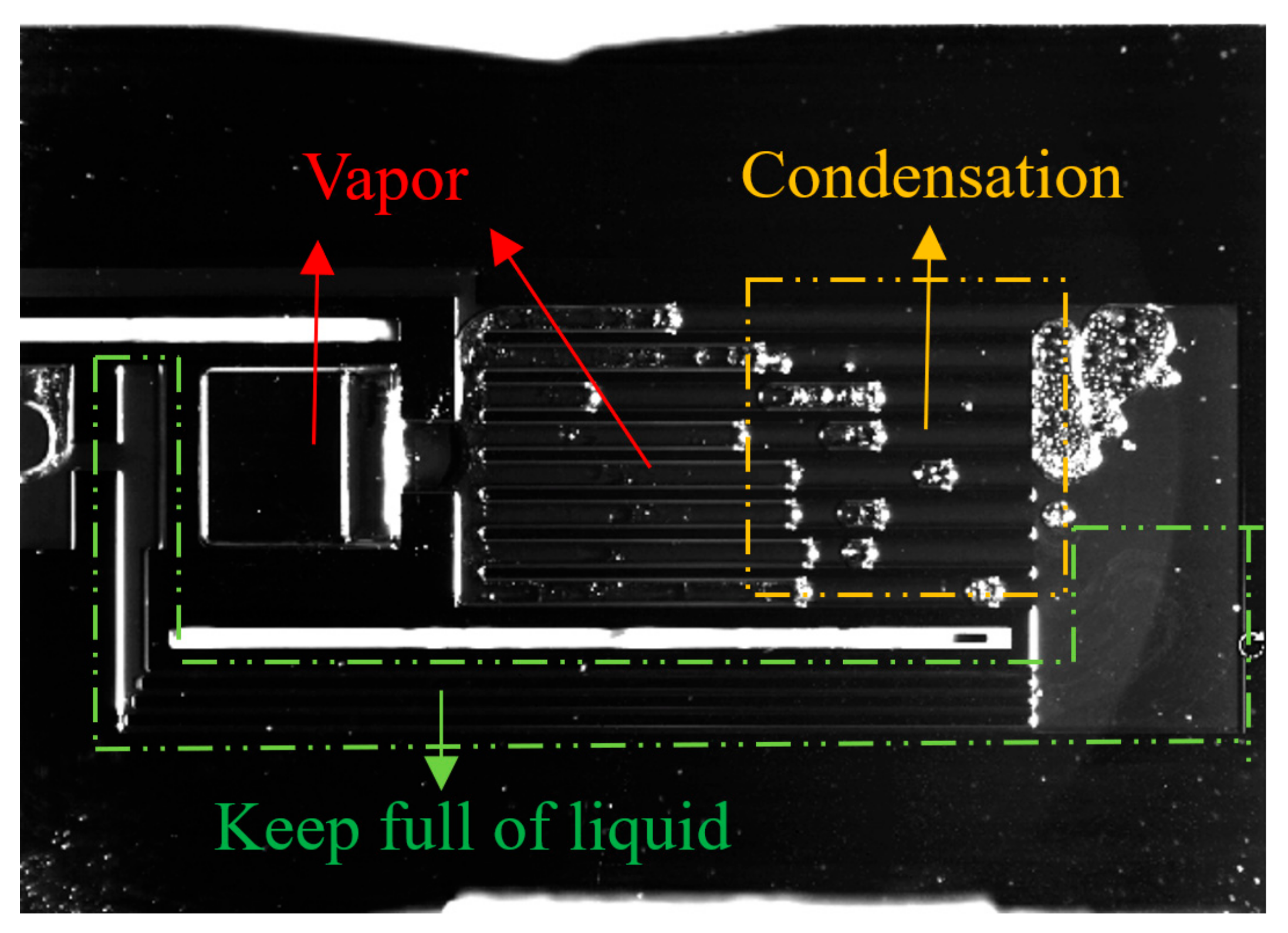 Micromachines 12 01080 g012