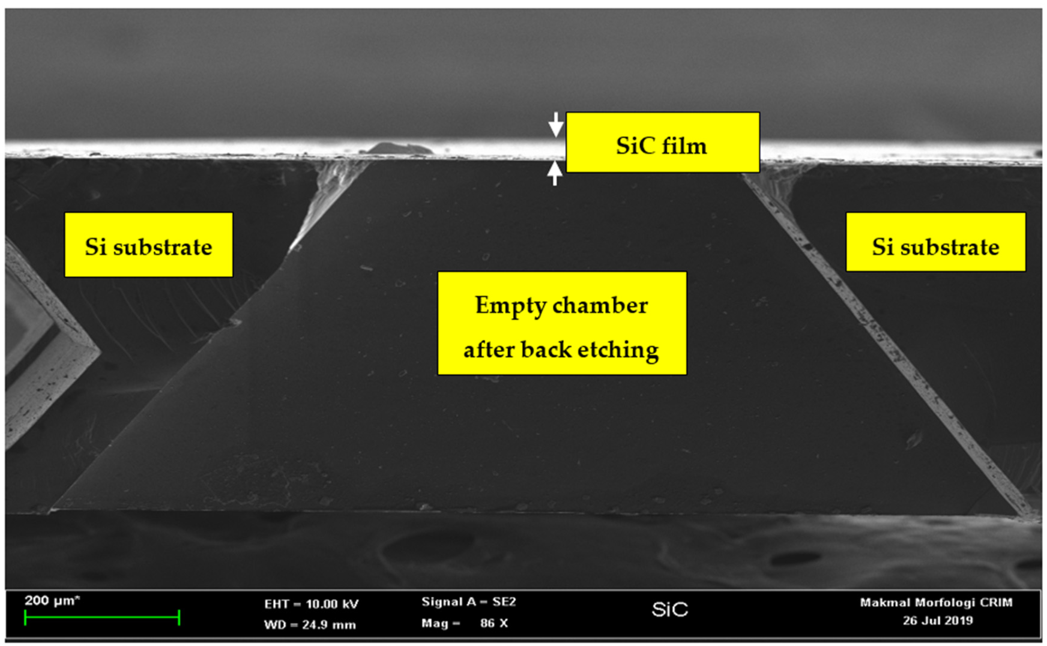 Micromachines 12 01101 g002