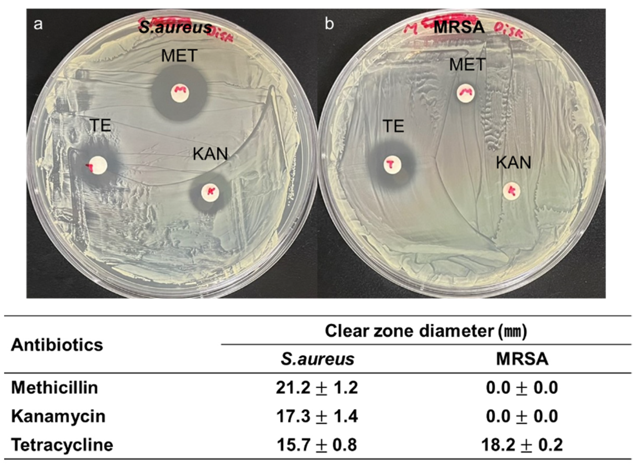 Micromachines 12 01103 g003