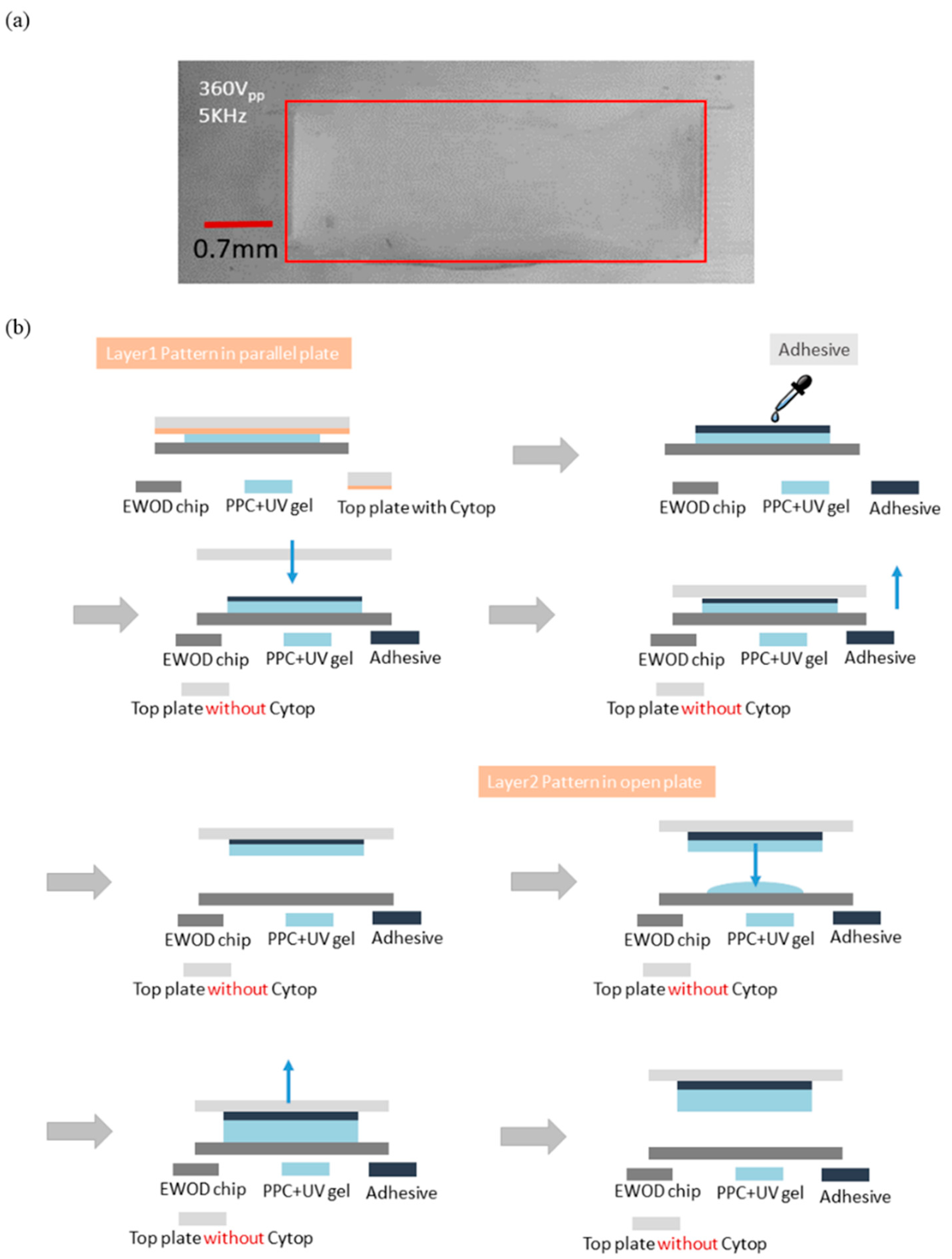 Micromachines 12 01104 g009