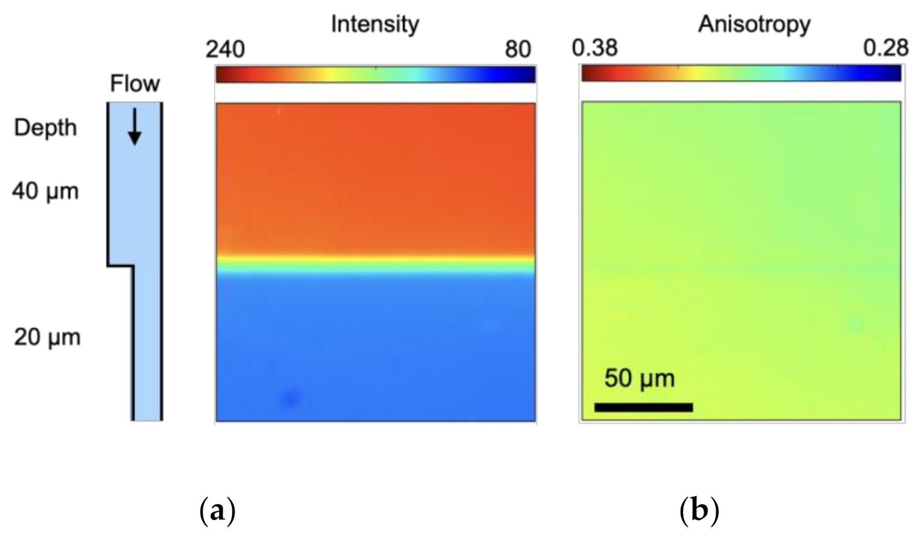 Micromachines 12 01109 g003