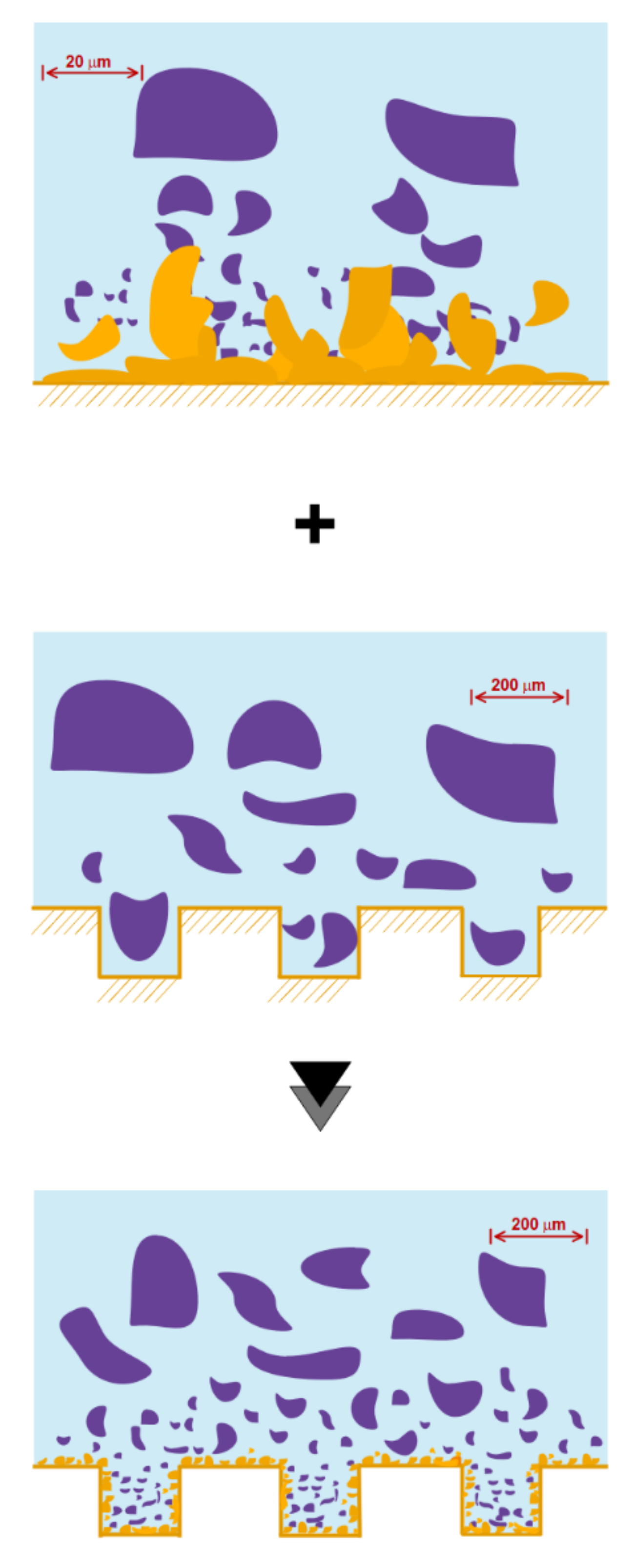Micromachines 12 01113 g019