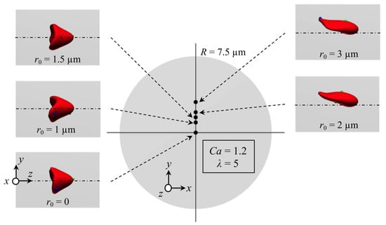 Micromachines 12 01162 g0a2 550