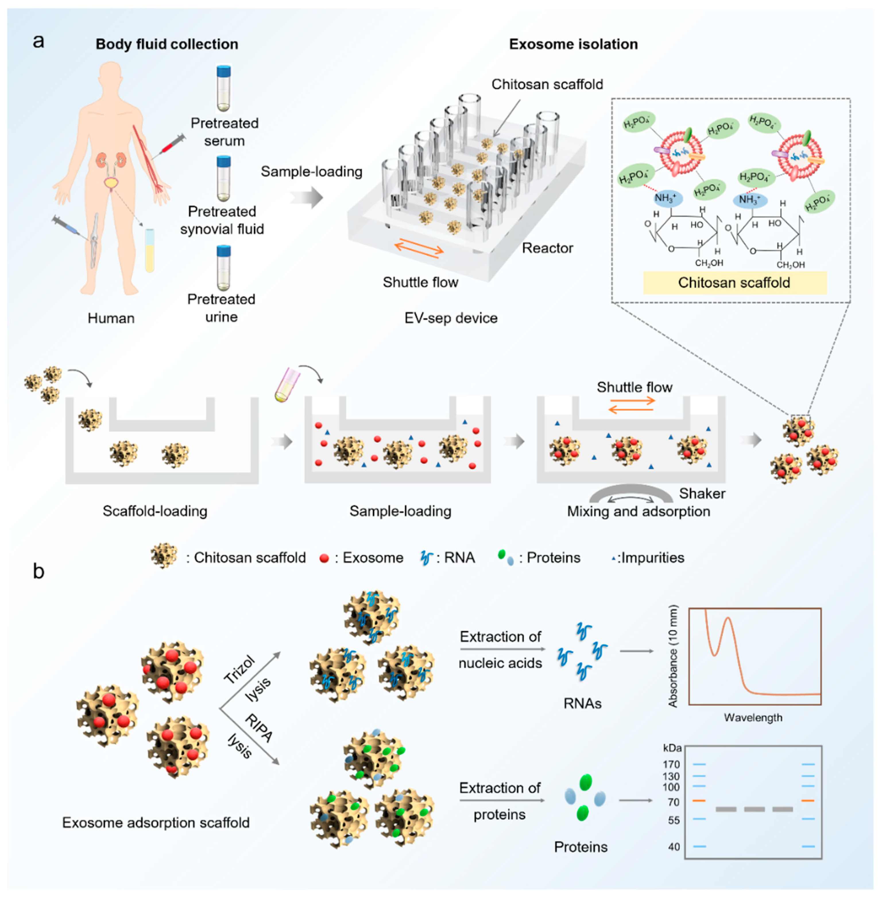 Micromachines 12 01182 g001
